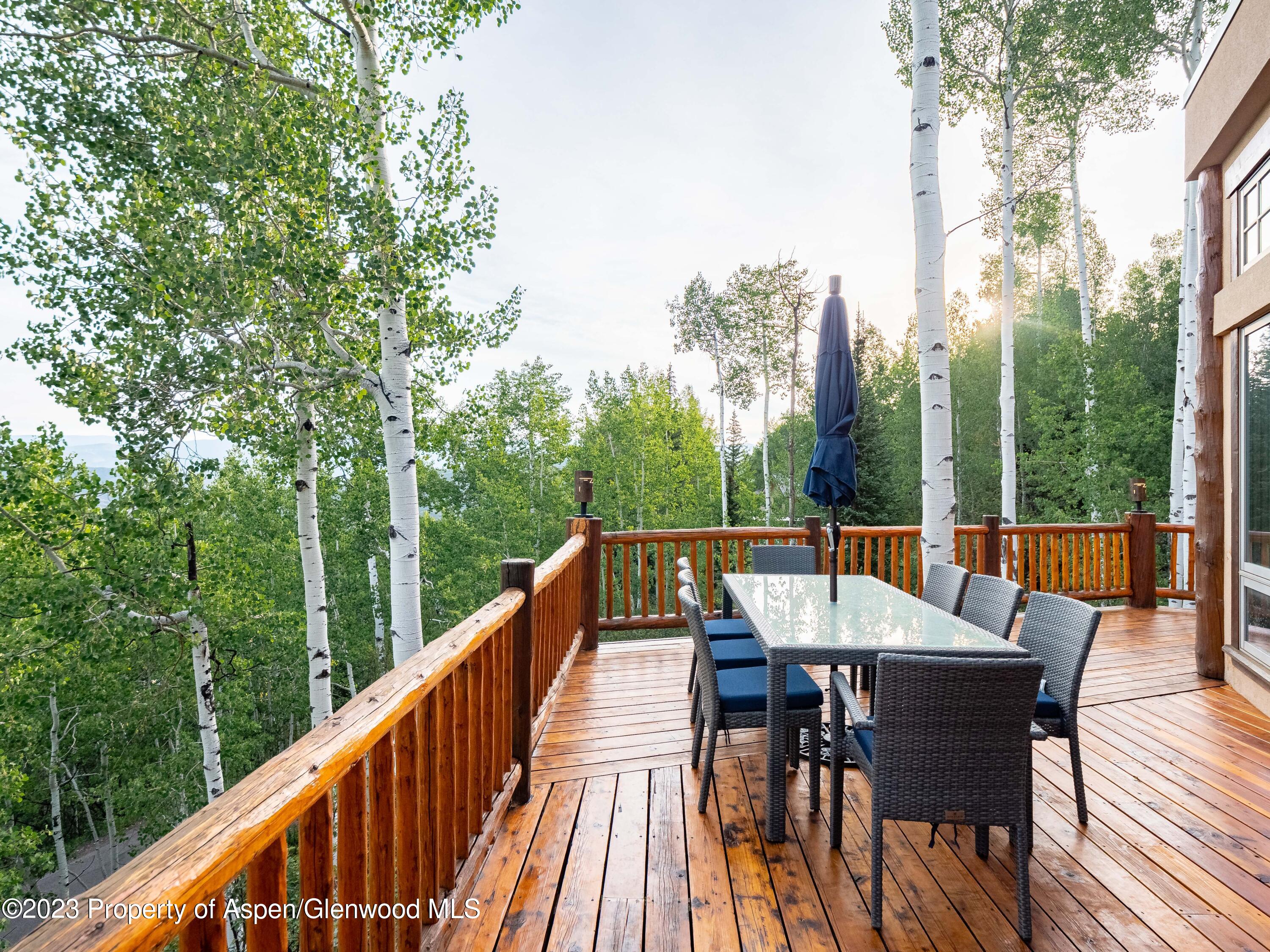40 Maple Ridge Lane Snowmass Village CO 81615