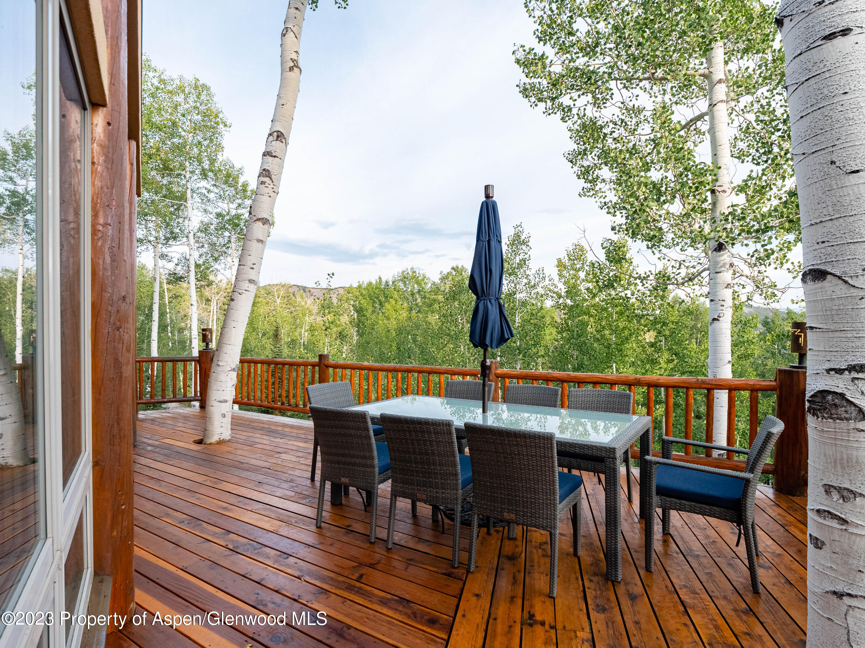40 Maple Ridge Lane Snowmass Village CO 81615