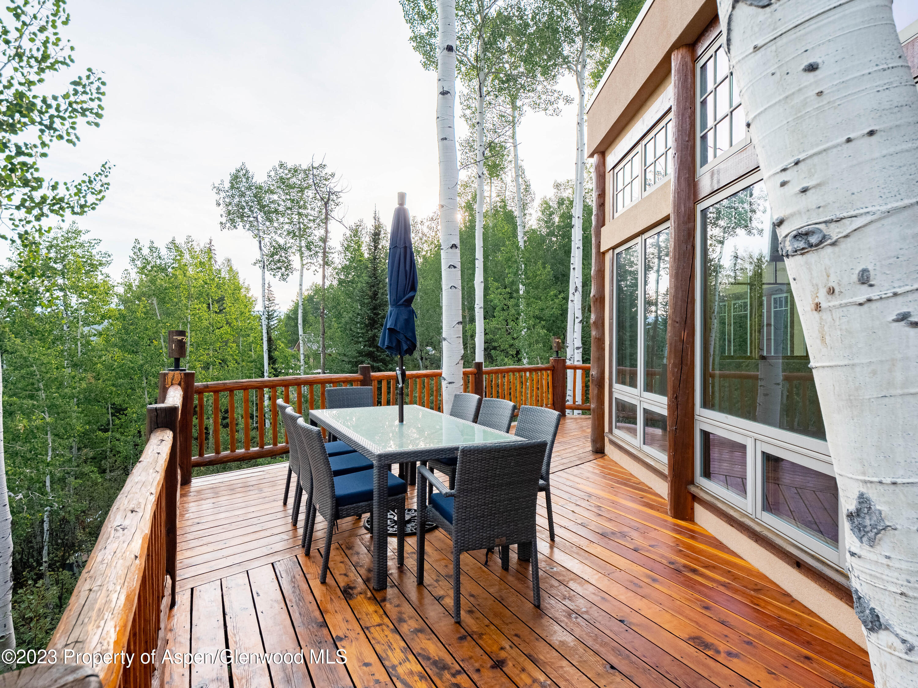 40 Maple Ridge Lane Snowmass Village CO 81615