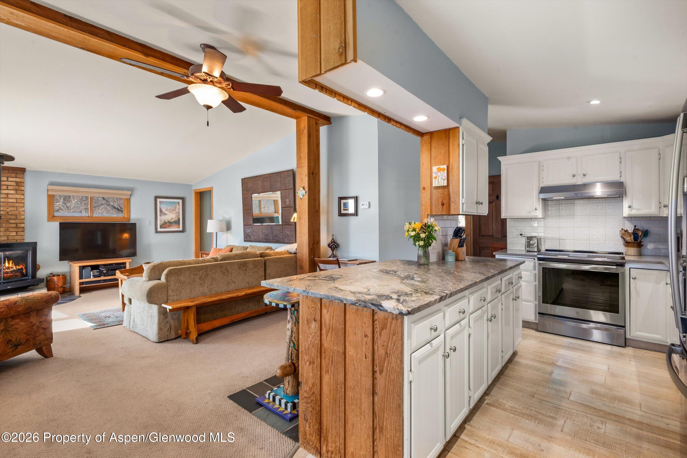 120 Tucker Lane Basalt CO 81621