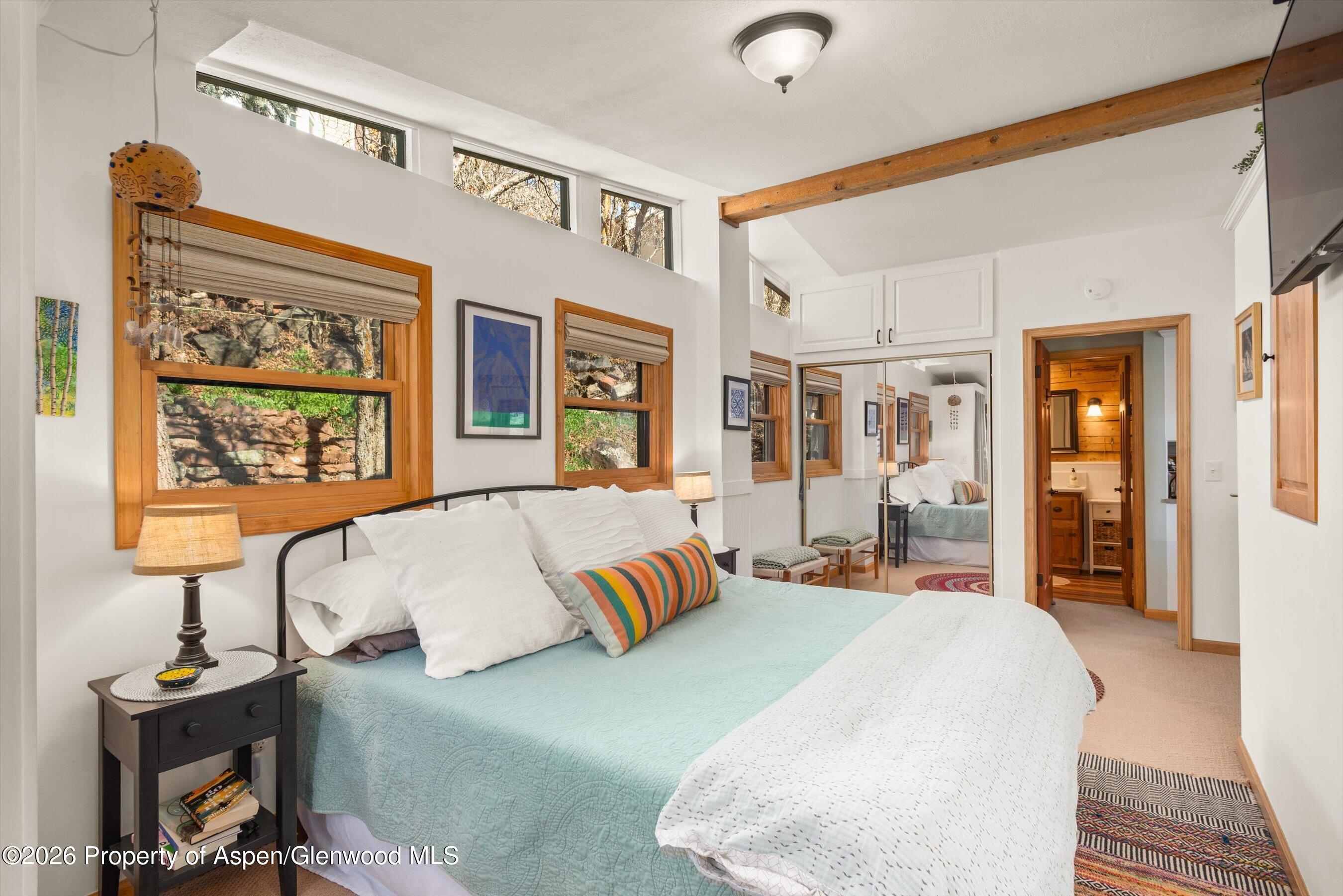 120 Tucker Lane Basalt CO 81621