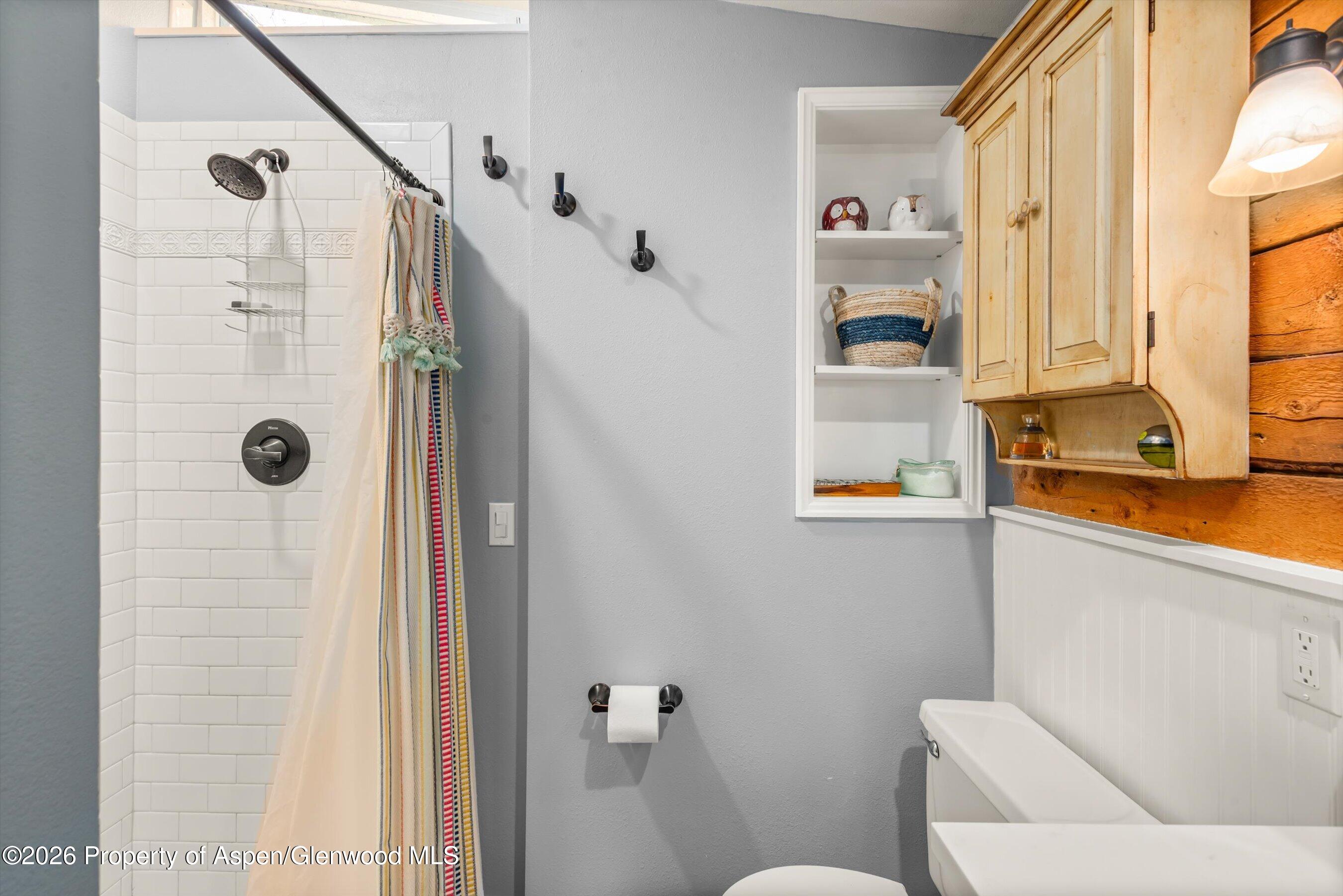 120 Tucker Lane Basalt CO 81621