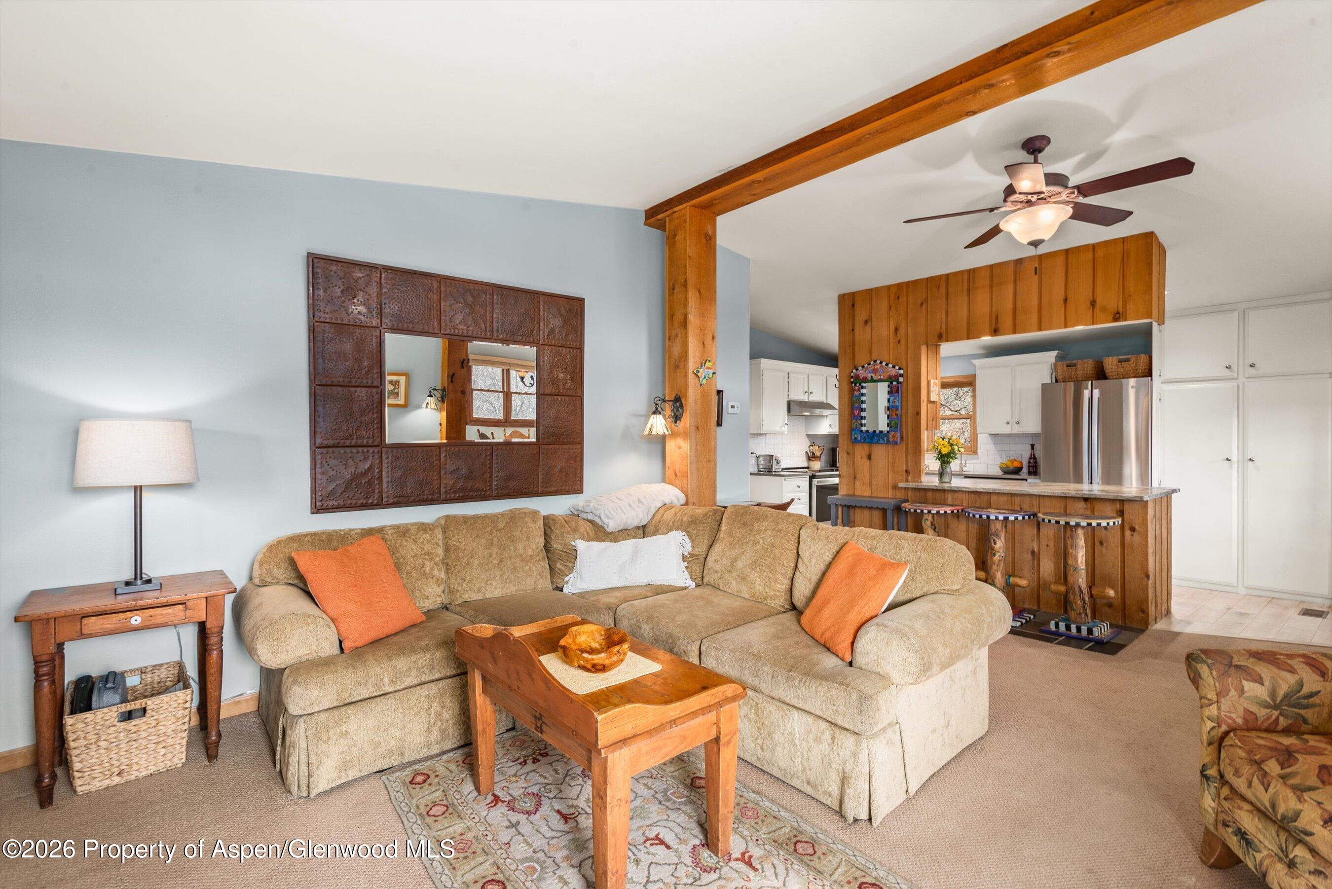 120 Tucker Lane Basalt CO 81621