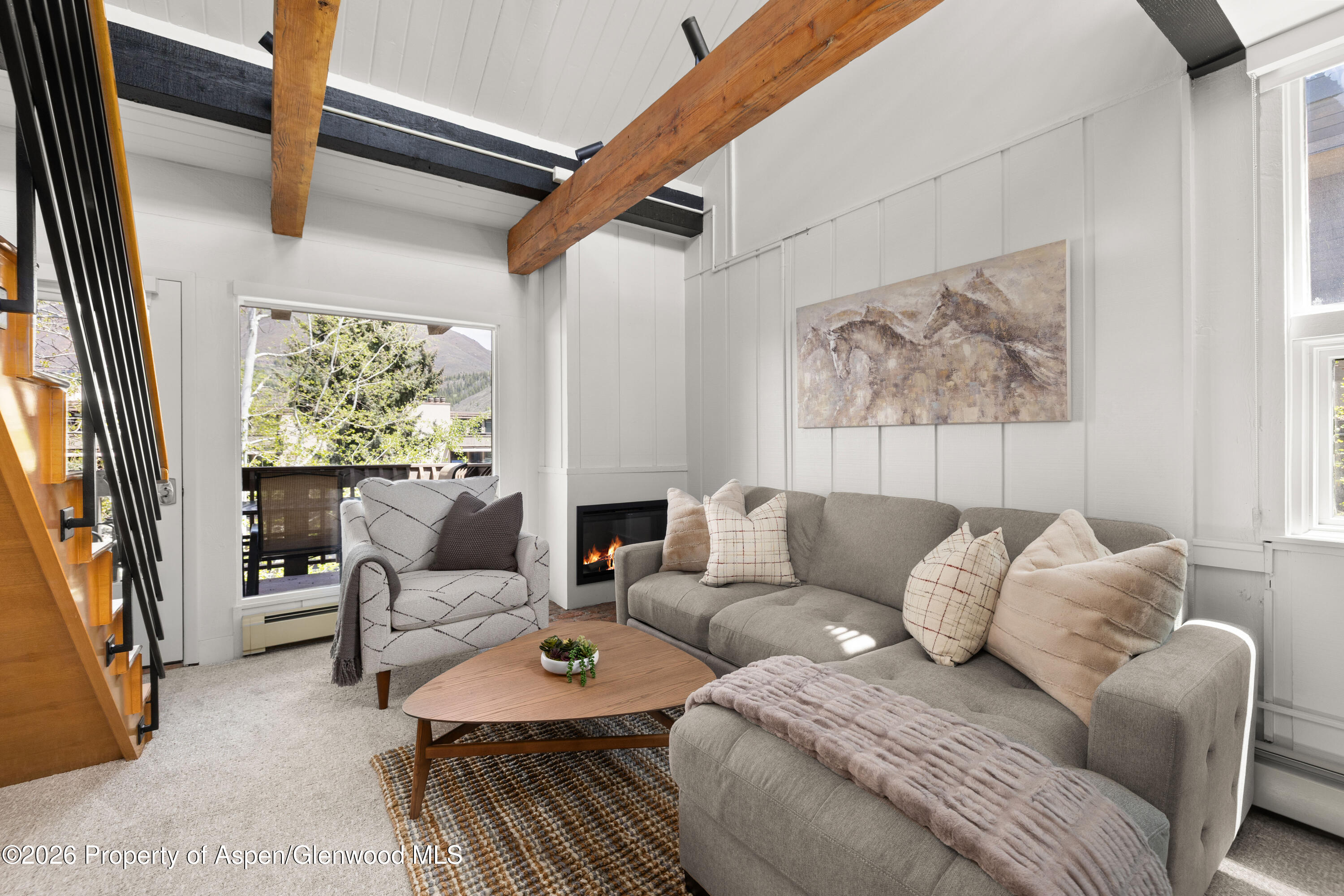 605 E Main Street Aspen CO 81611