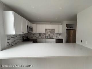 605 E Main Street Aspen CO 81611