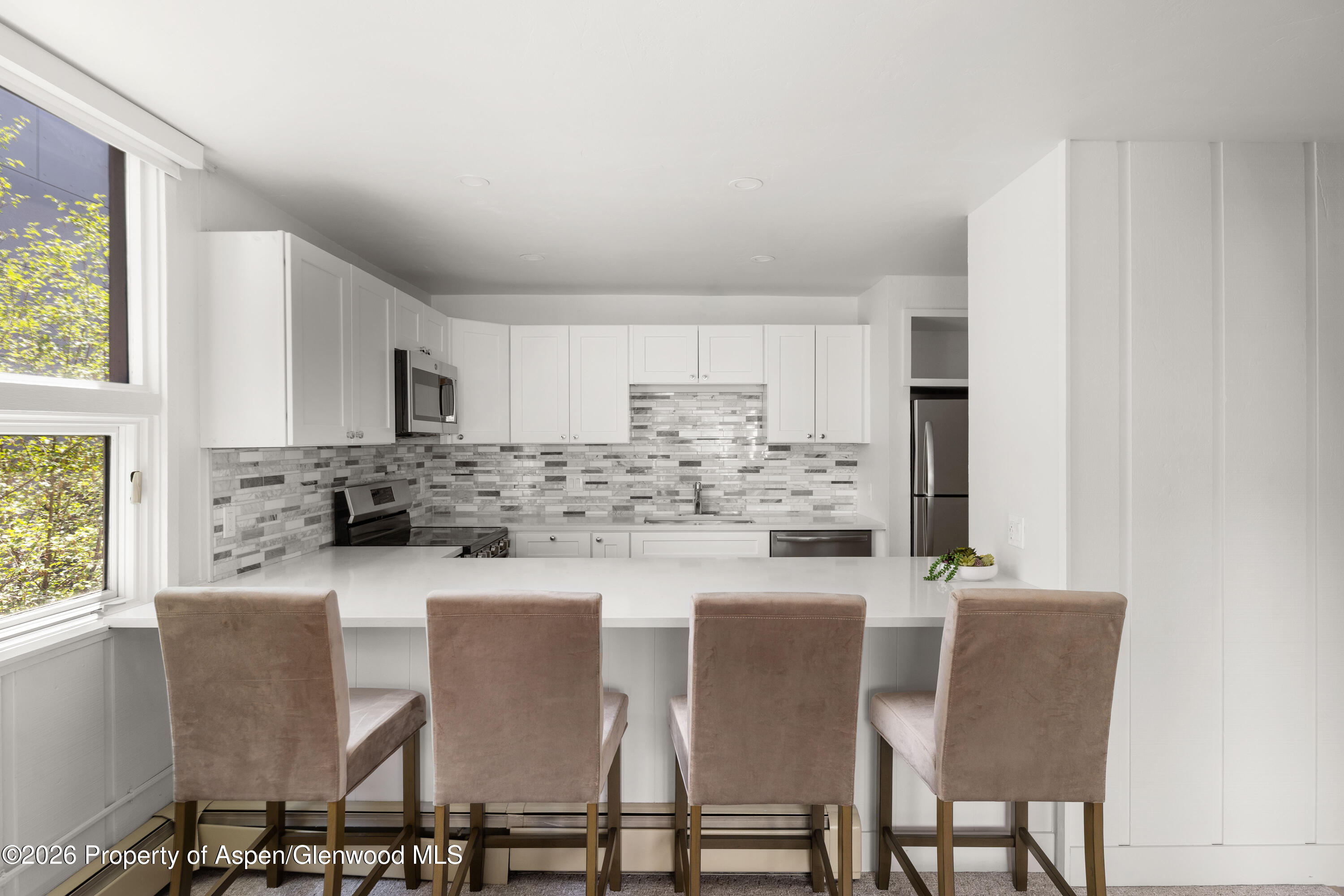 605 E Main Street Aspen CO 81611