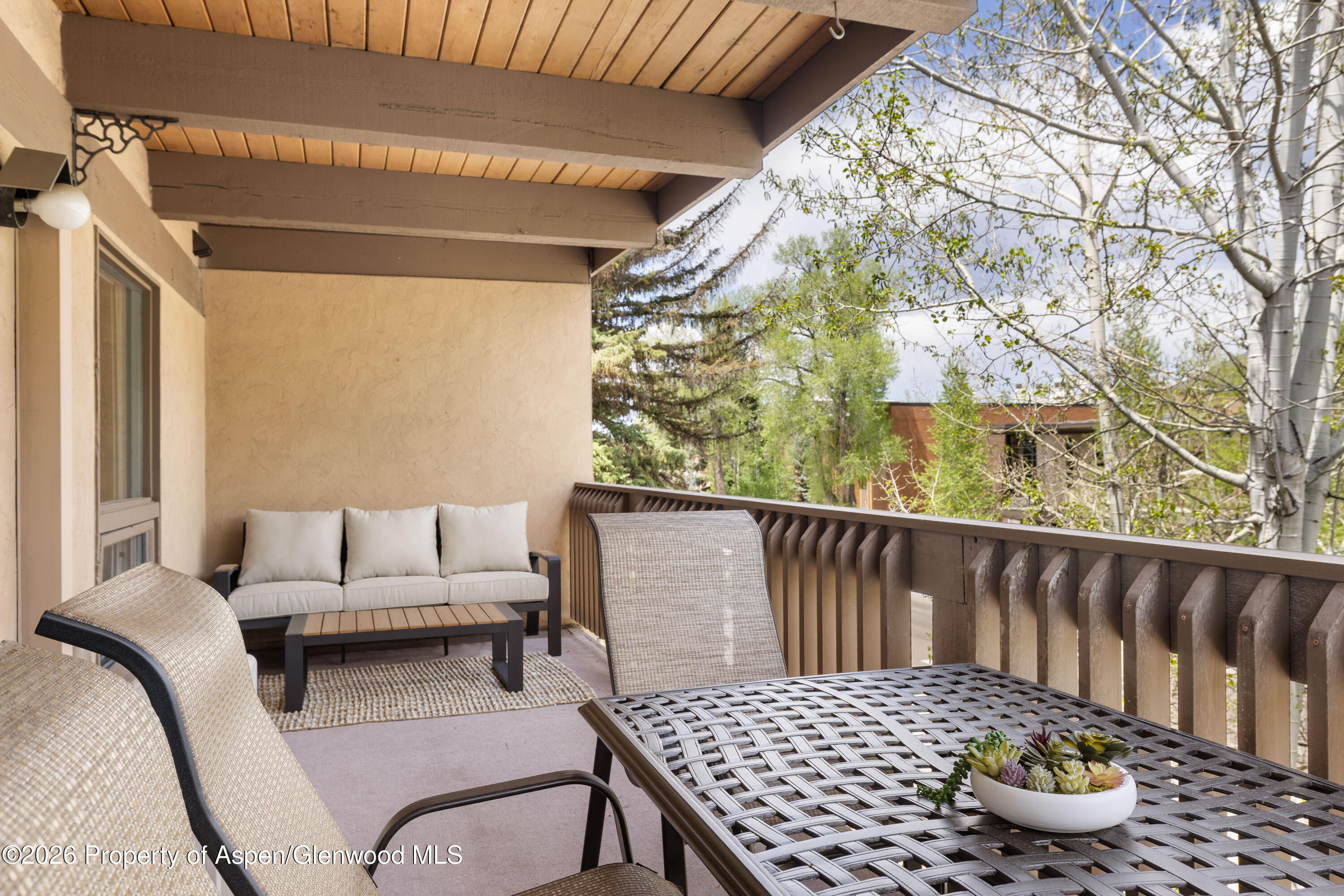 605 E Main Street Aspen CO 81611
