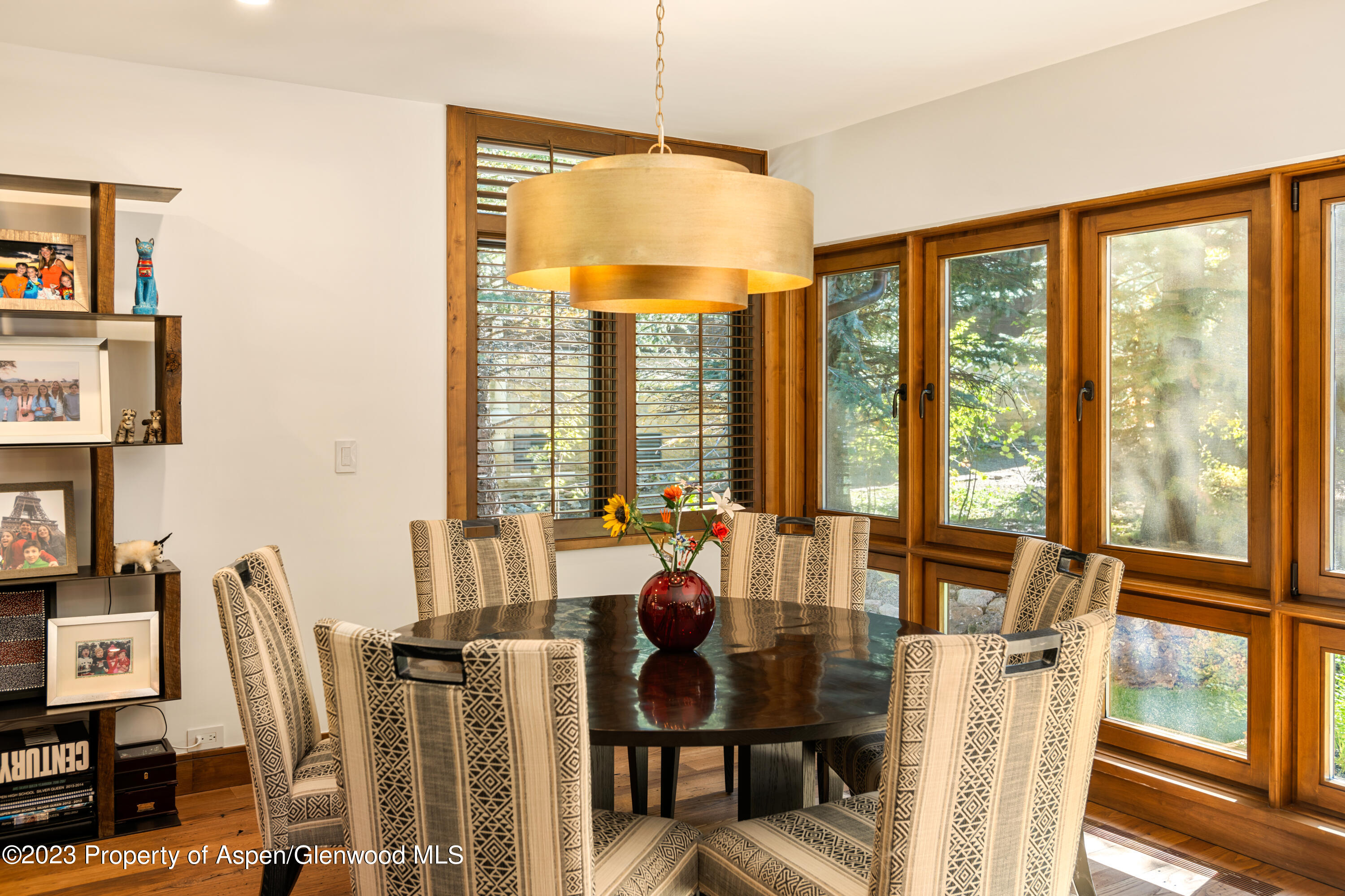 970 Powder Lane Aspen CO 81611