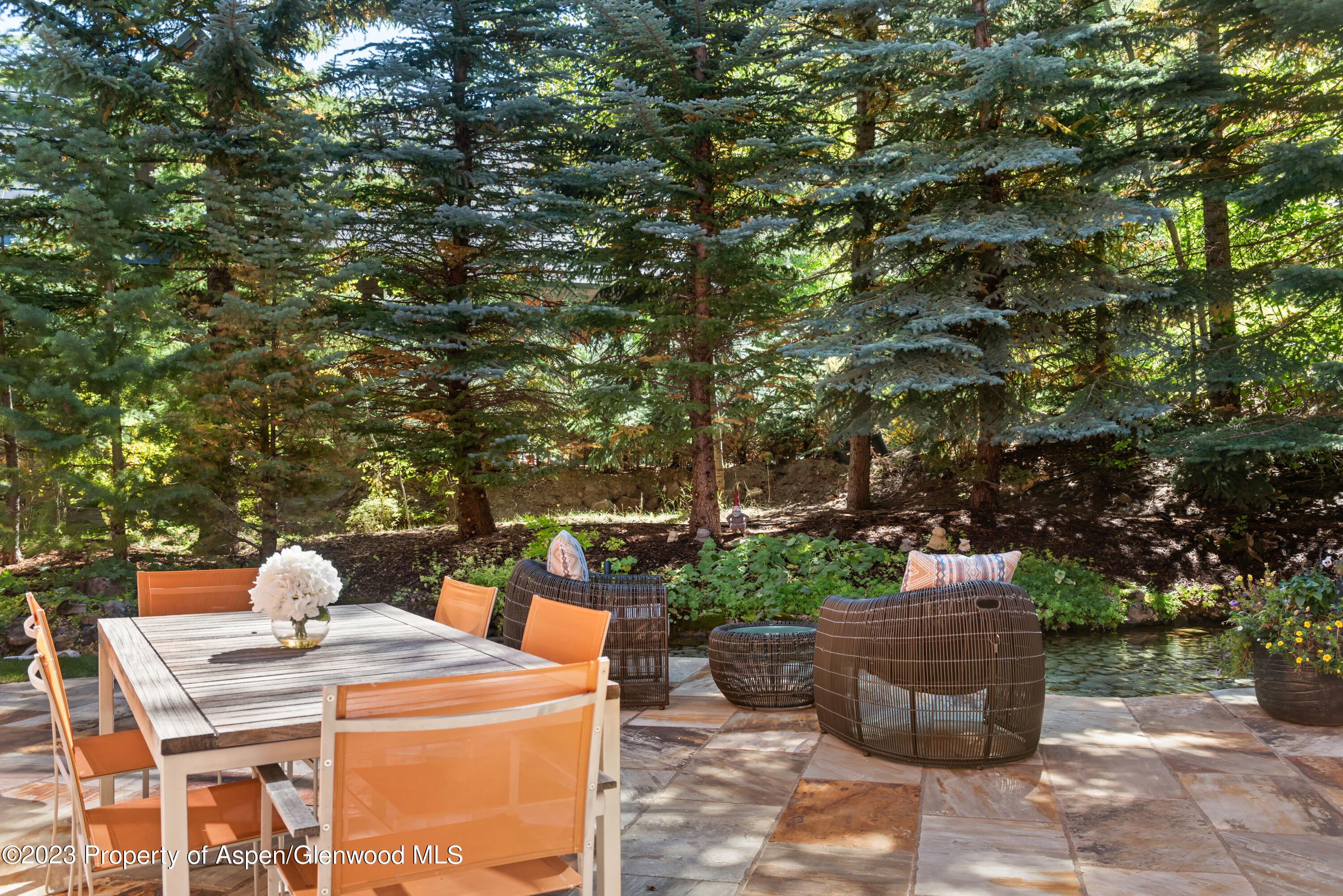 970 Powder Lane Aspen CO 81611