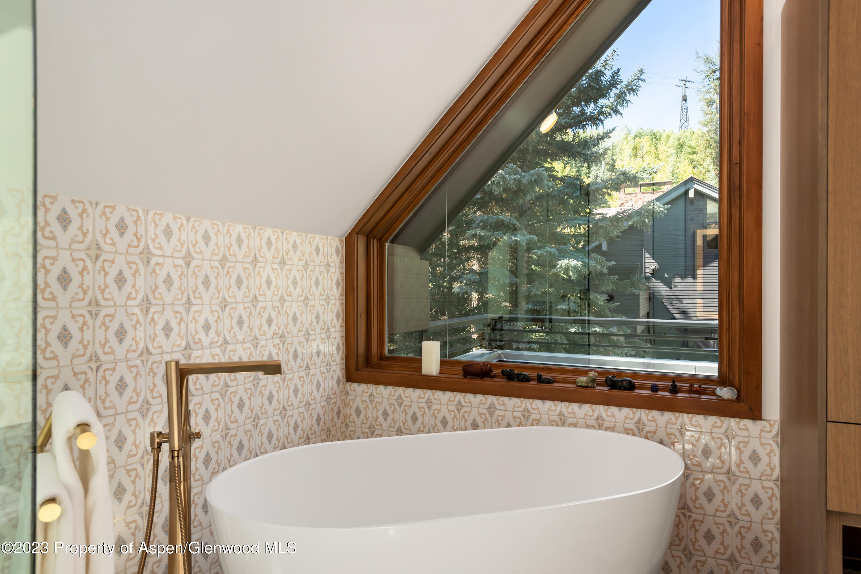 970 Powder Lane Aspen CO 81611