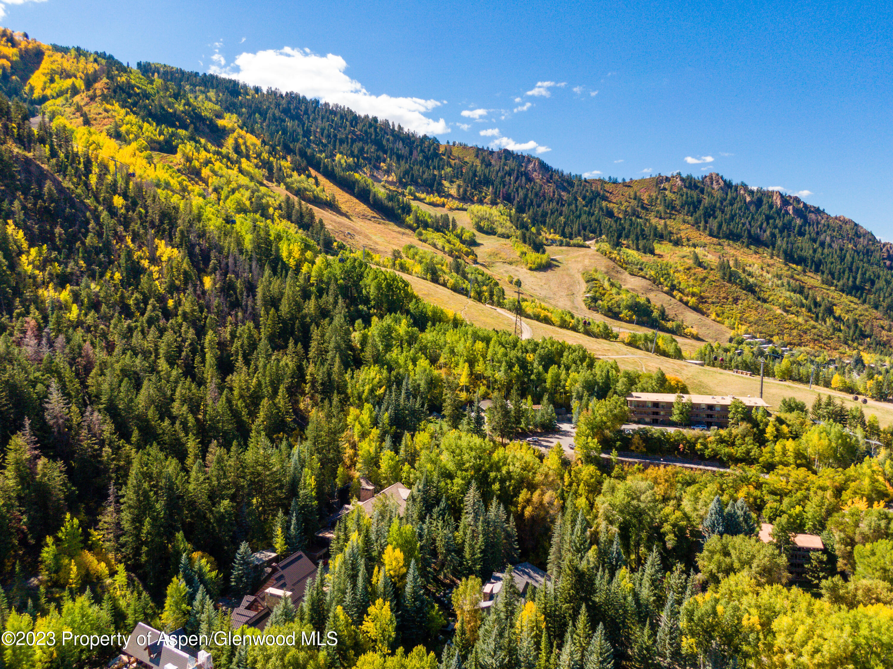 970 Powder Lane Aspen CO 81611