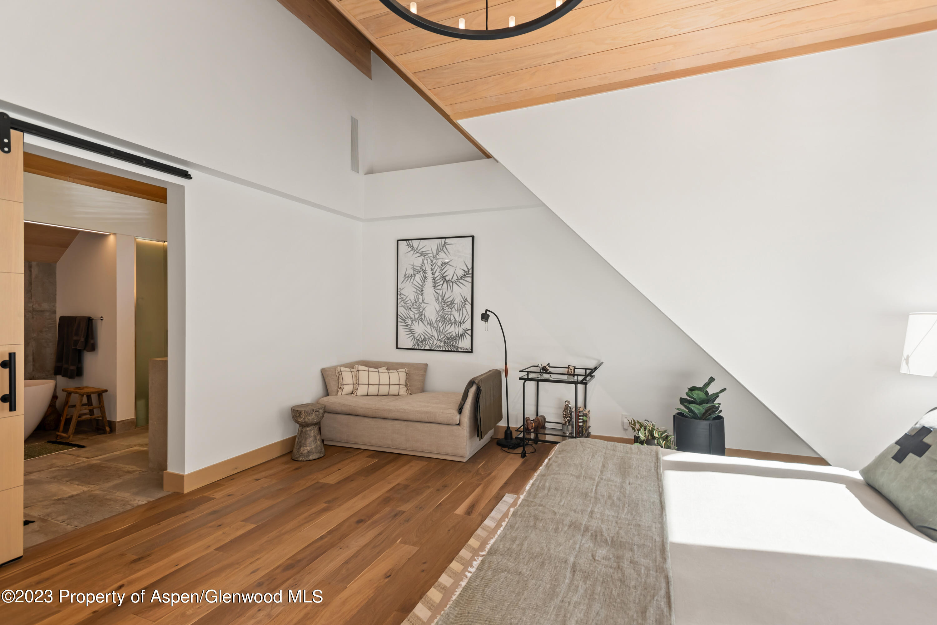 970 Powder Lane Aspen CO 81611