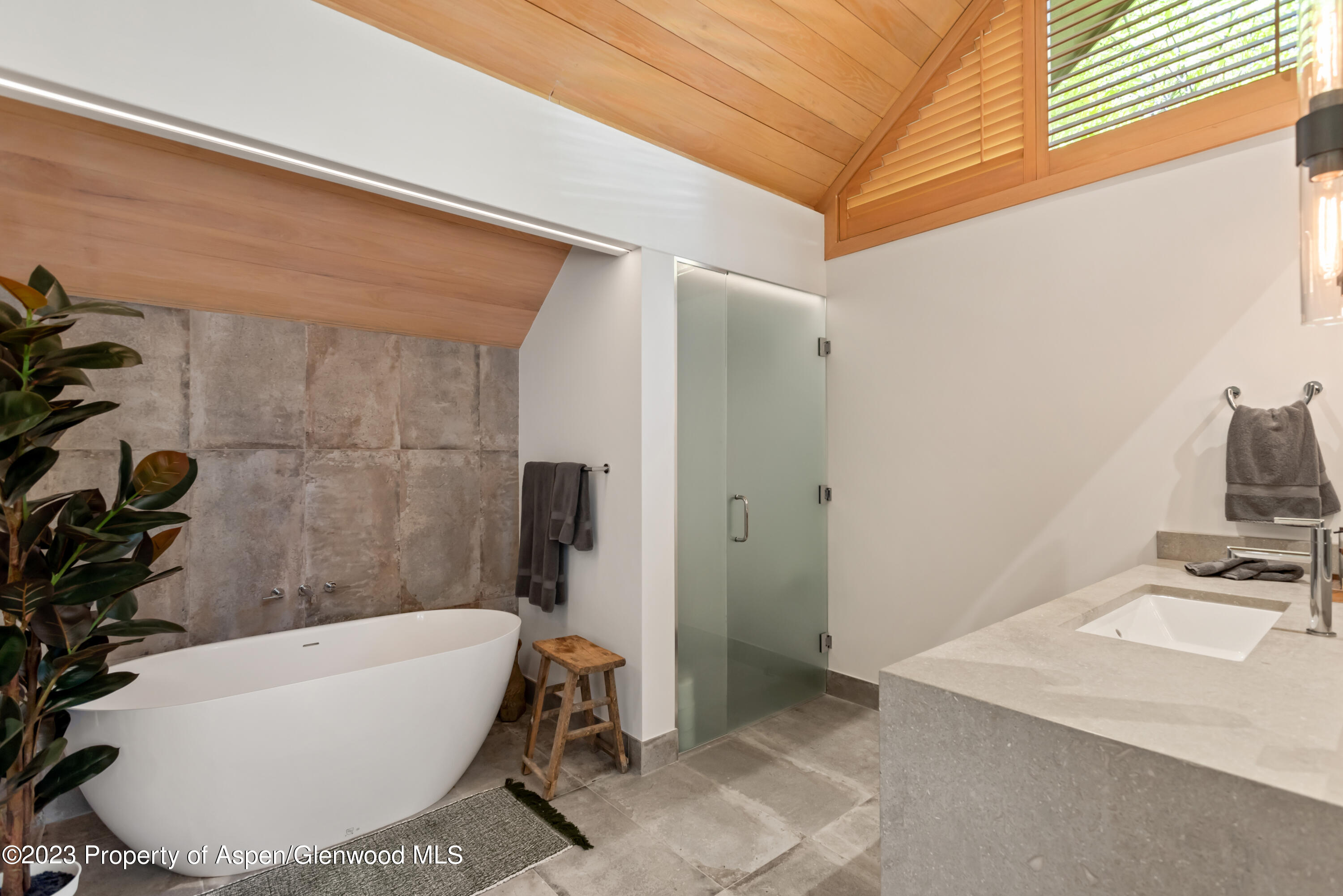 970 Powder Lane Aspen CO 81611