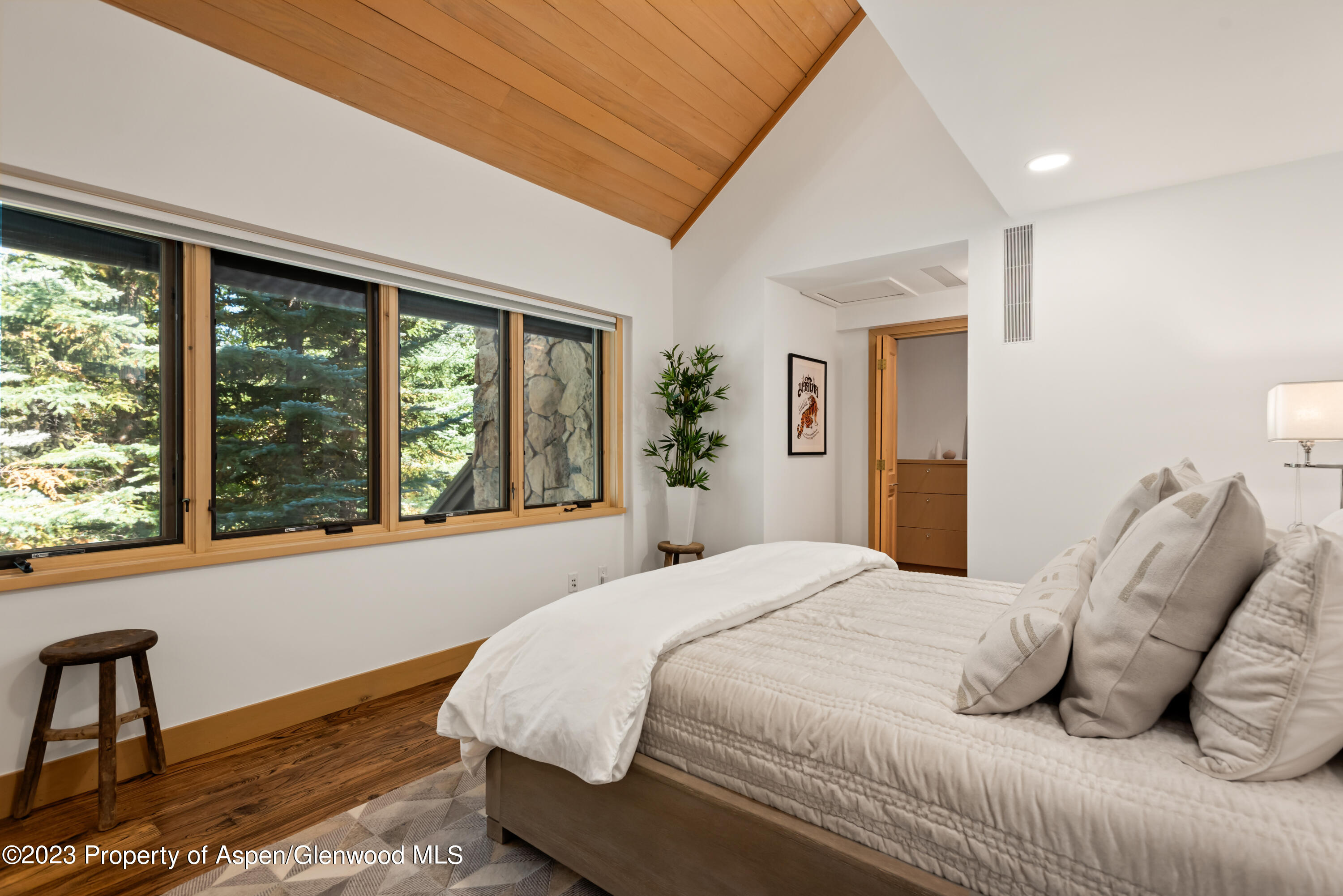 970 Powder Lane Aspen CO 81611