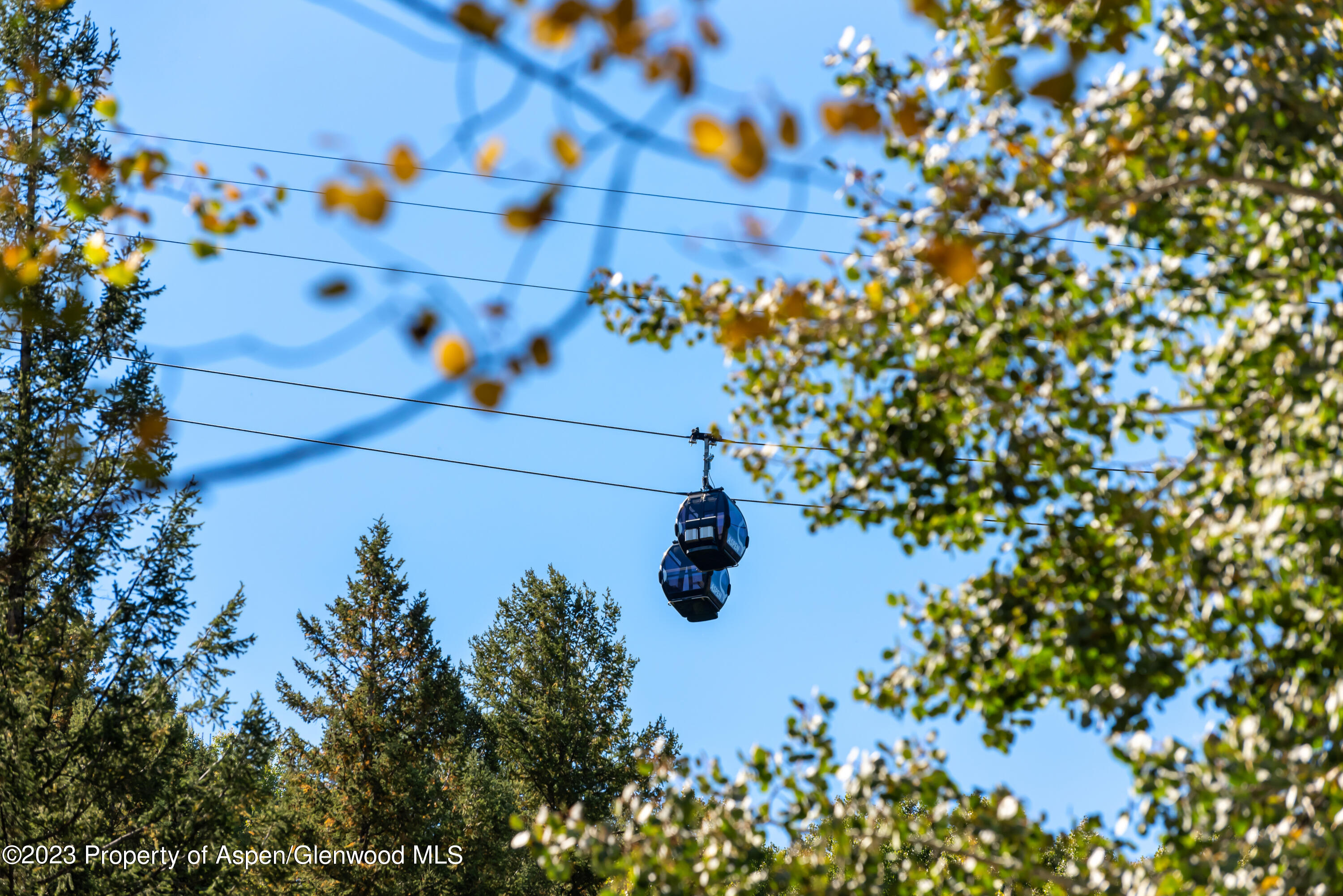 970 Powder Lane Aspen CO 81611