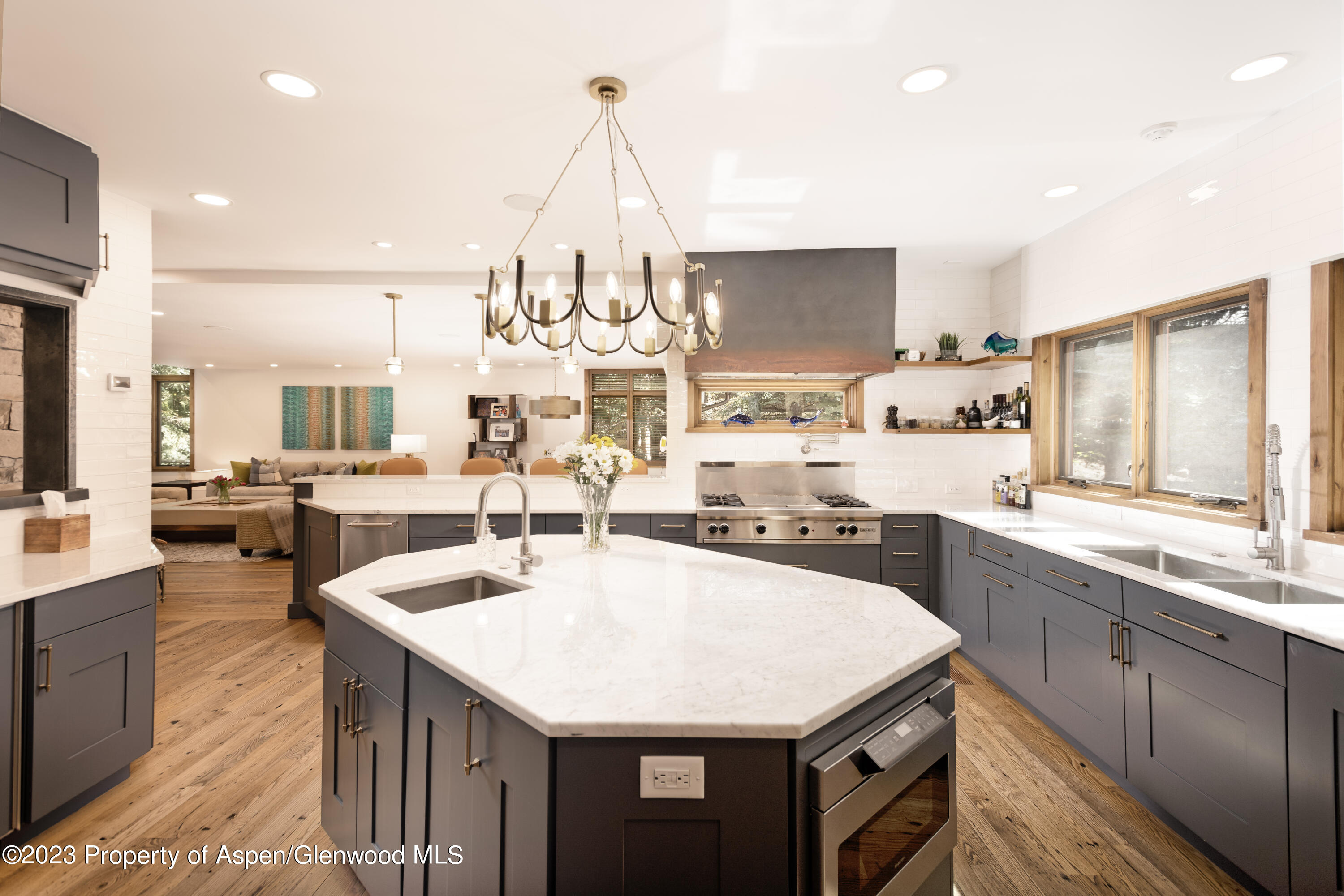 970 Powder Lane Aspen CO 81611