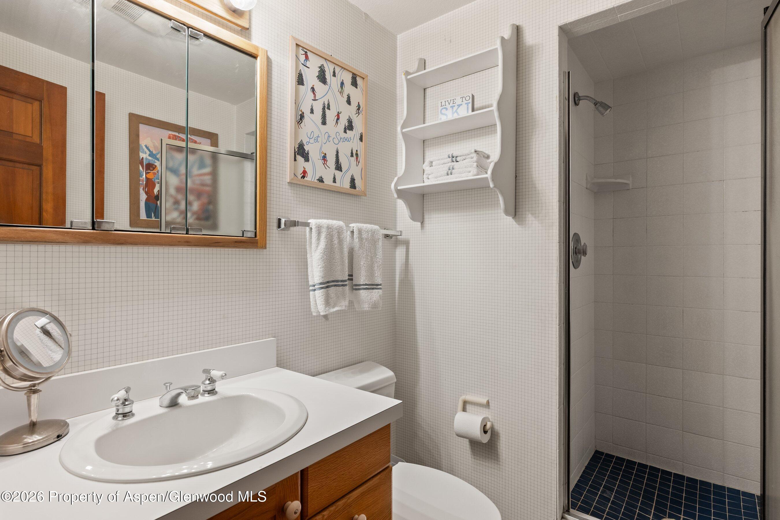 1375 Snowbunny Lane Aspen CO 81611