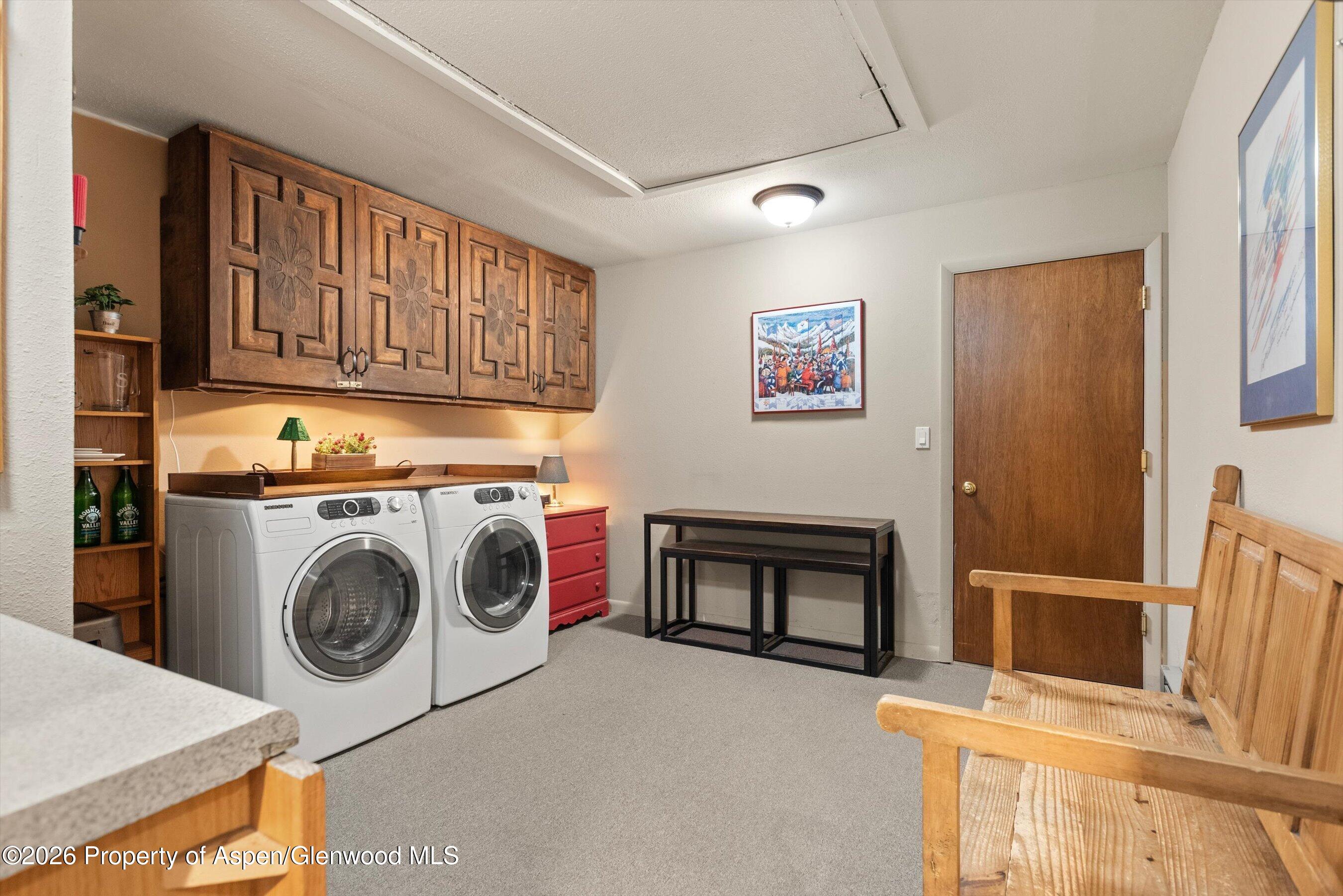 1375 Snowbunny Lane Aspen CO 81611