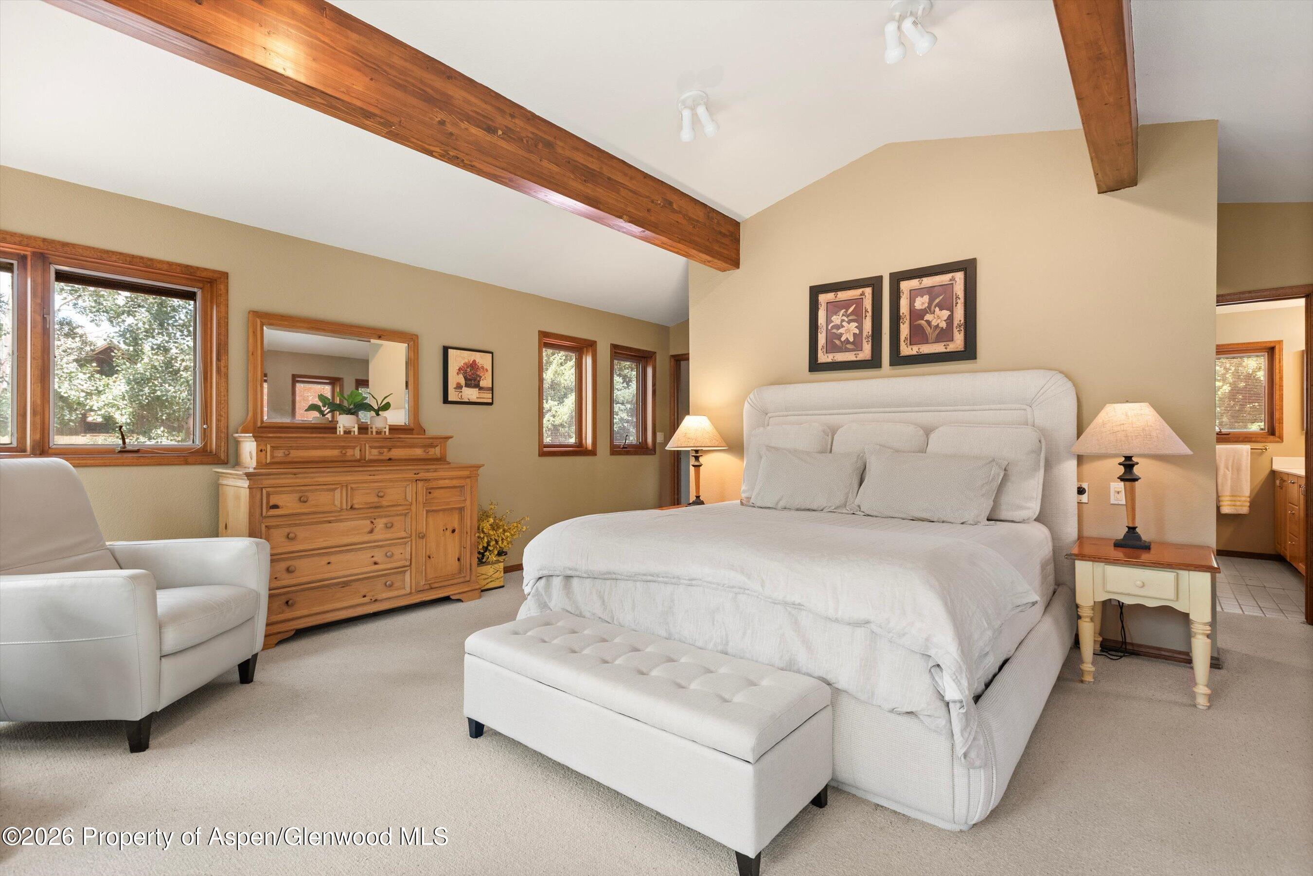 1375 Snowbunny Lane Aspen CO 81611