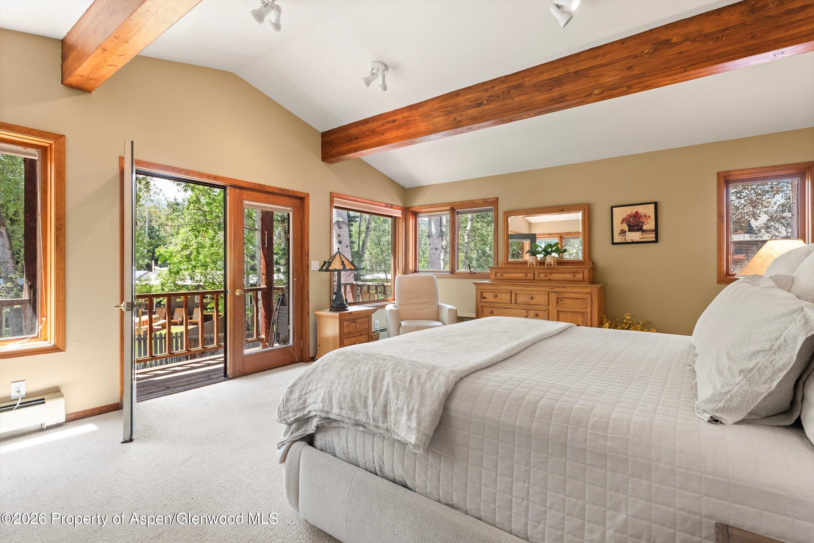 1375 Snowbunny Lane Aspen CO 81611