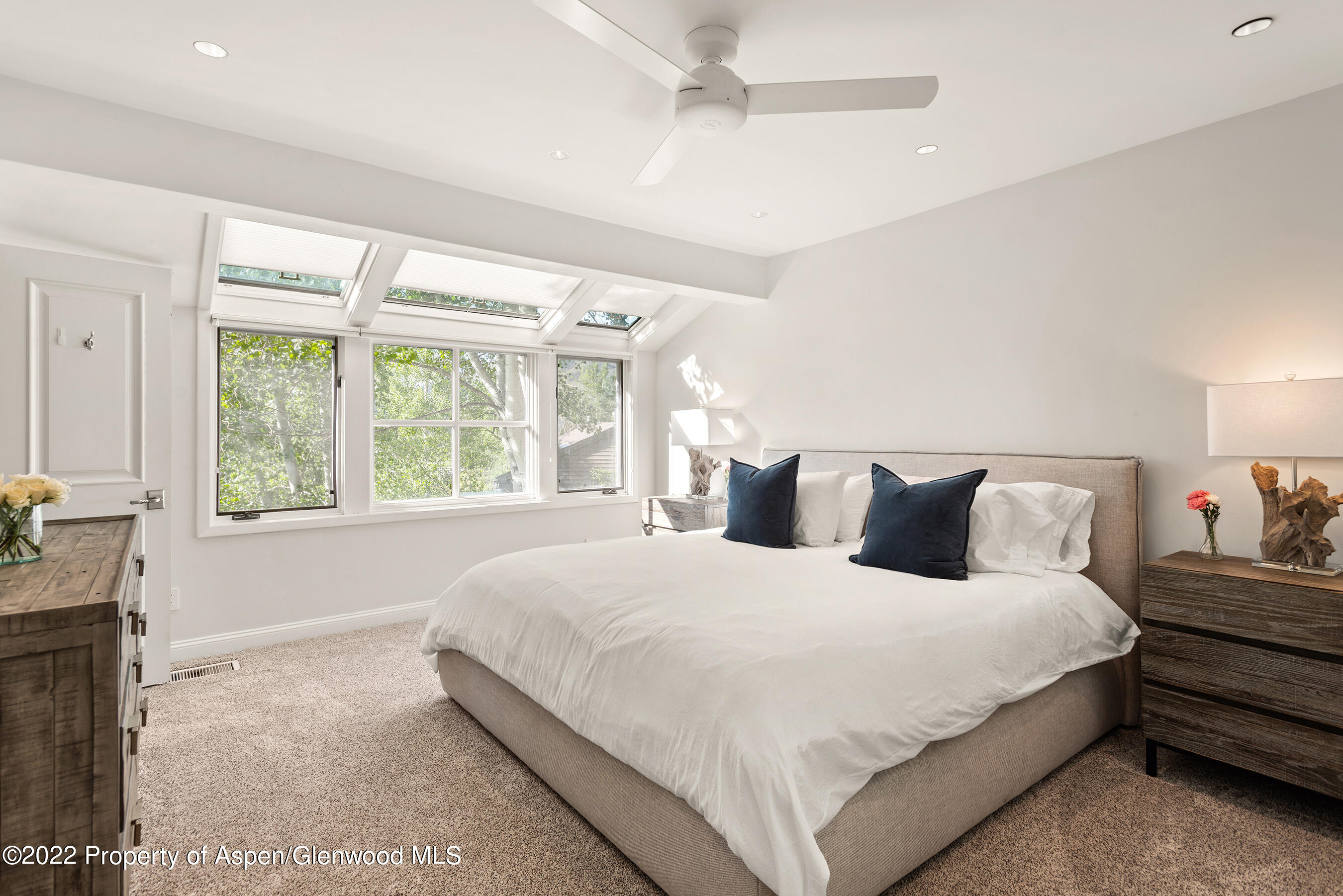 100 N 8th Street Aspen CO 81611