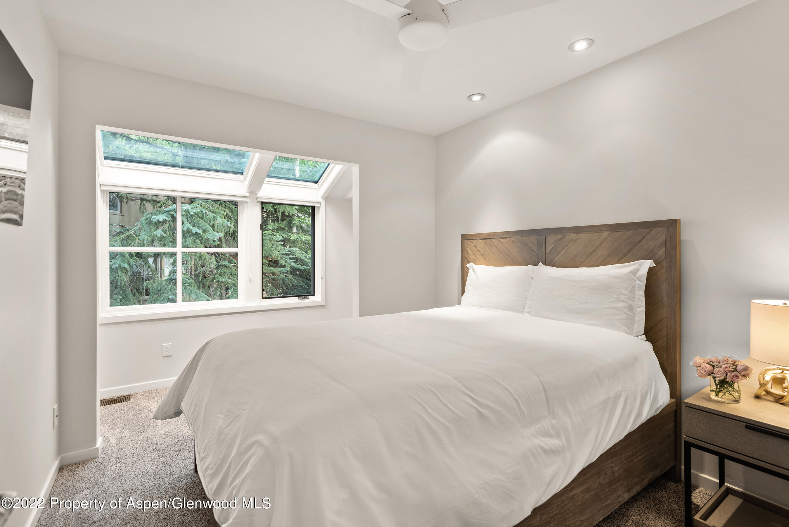 100 N 8th Street Aspen CO 81611