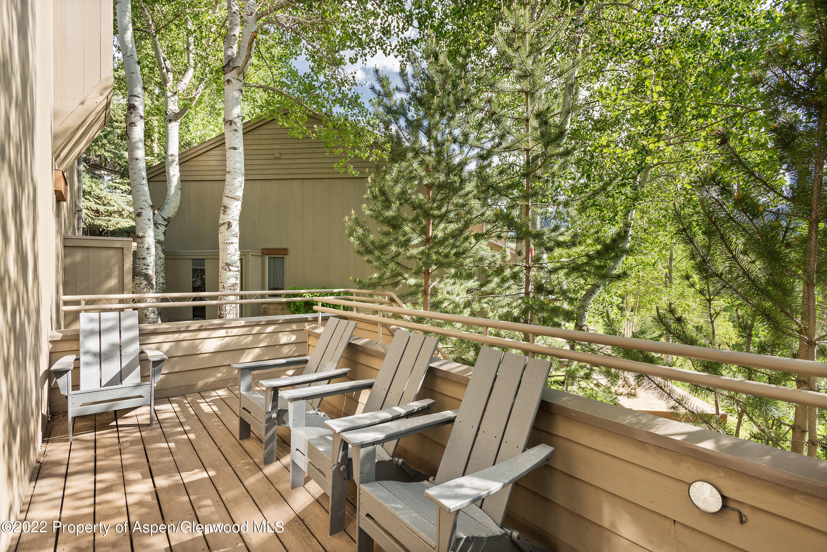 100 N 8th Street Aspen CO 81611