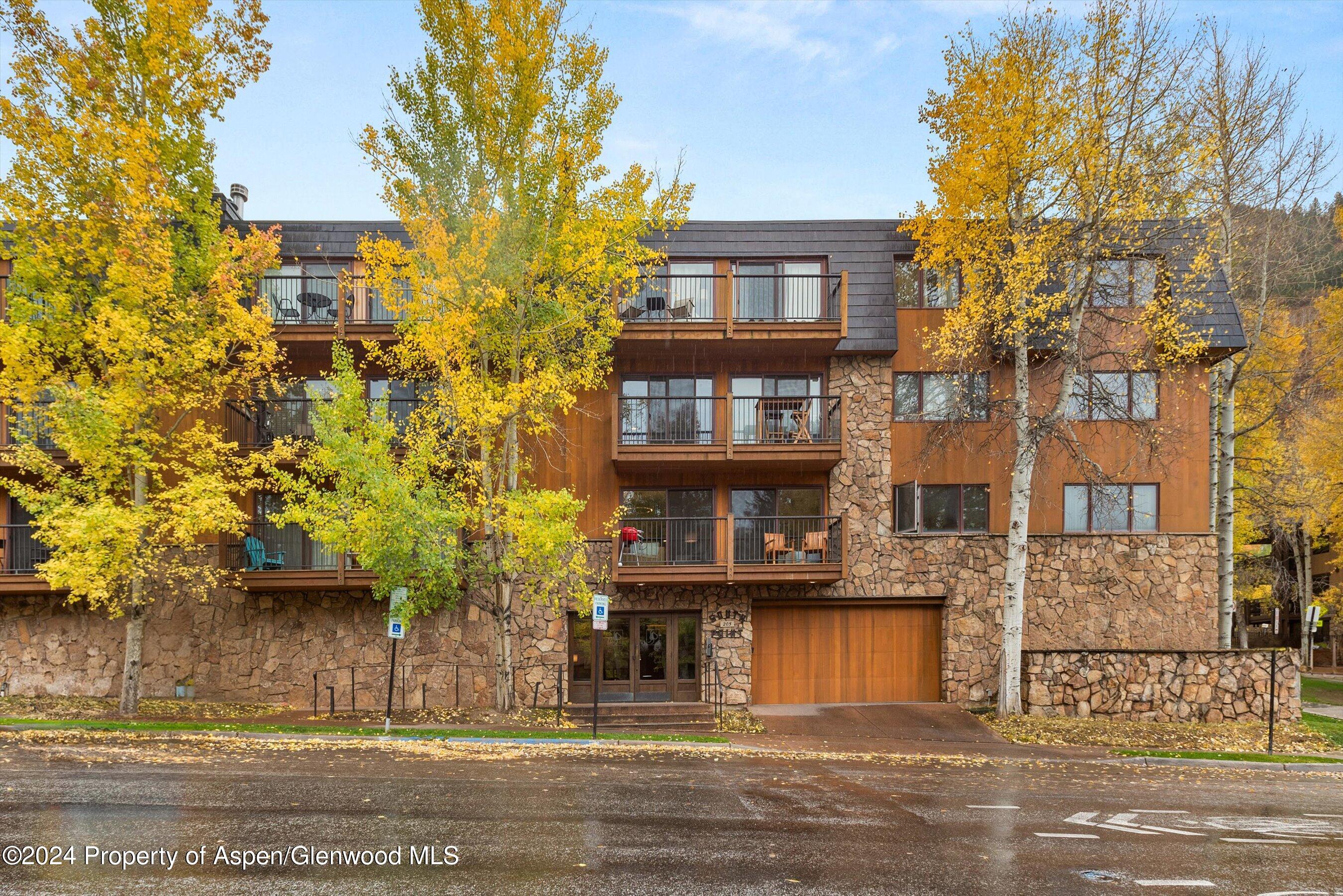 205 E Durant Avenue Aspen CO 81611