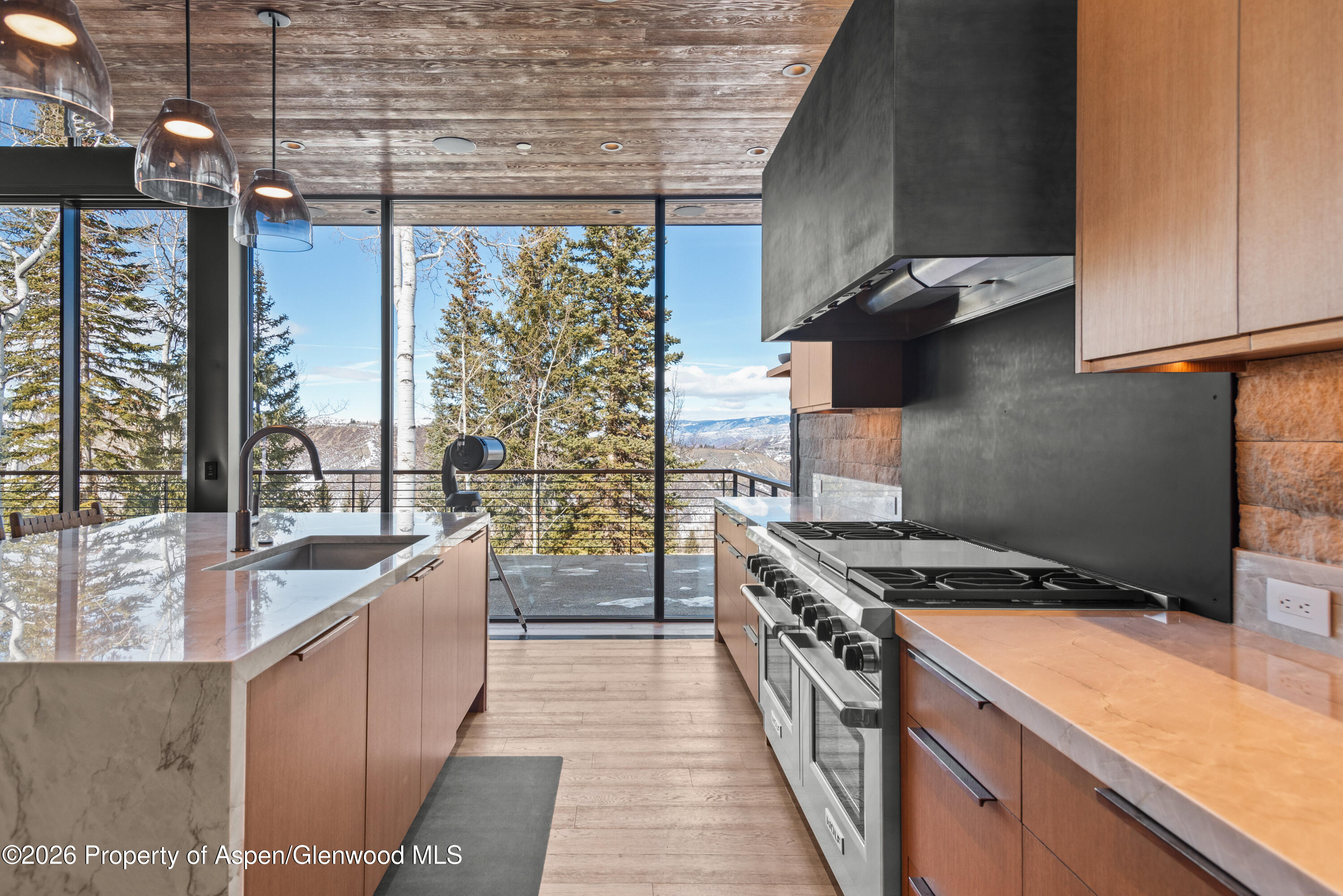 99 Forest Lane Snowmass Village CO 81615