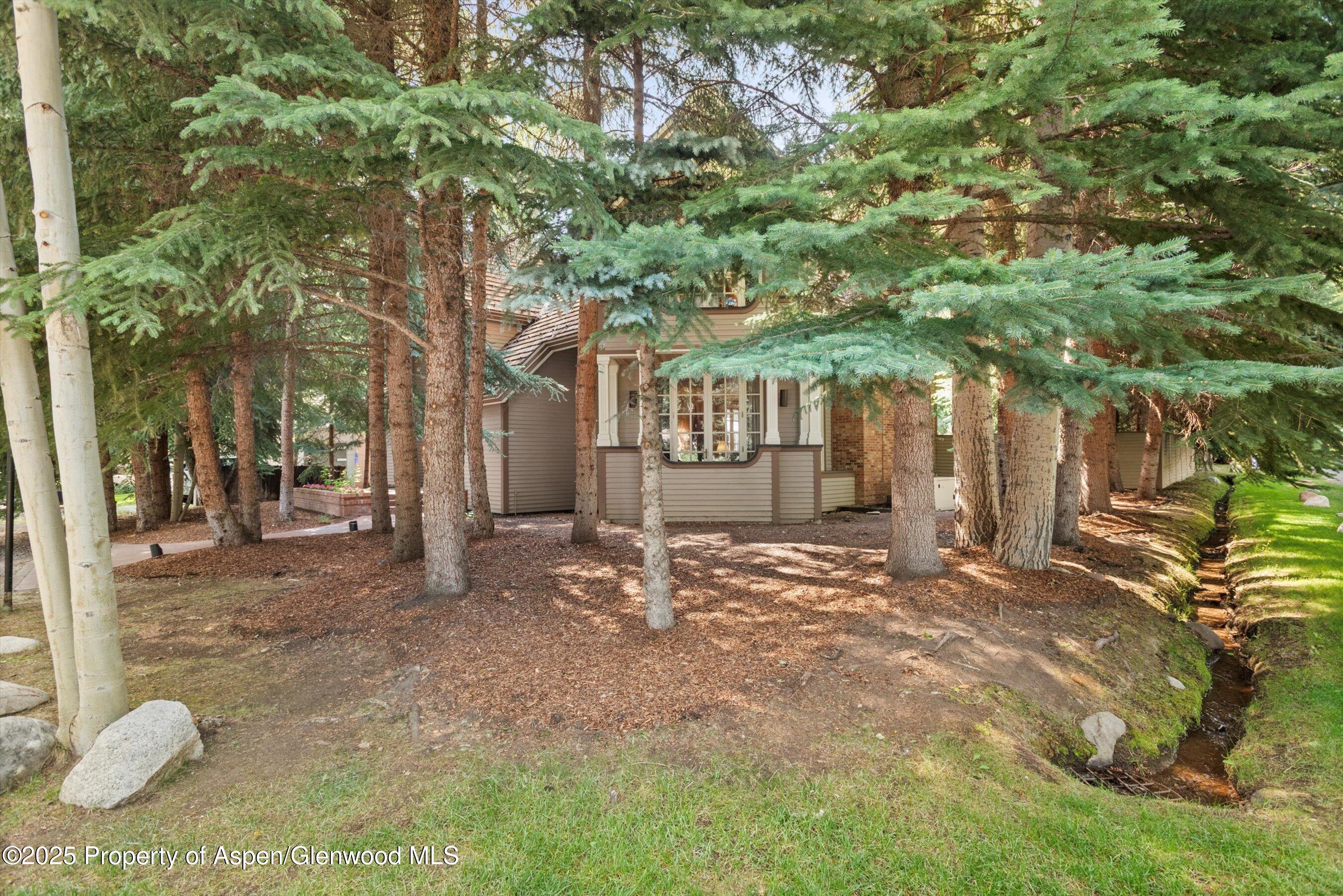 425 W North Street Aspen CO 81611