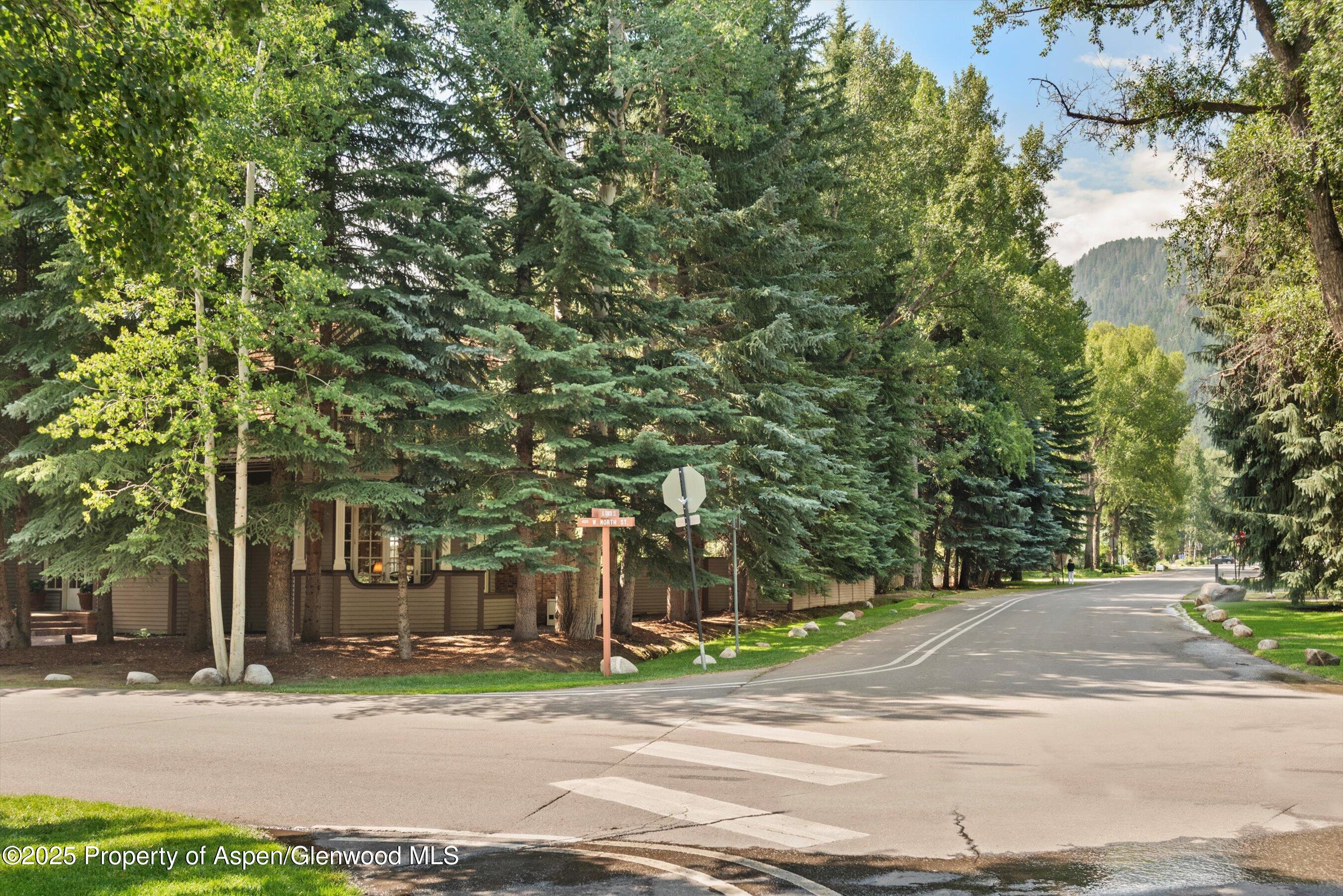 425 W North Street Aspen CO 81611