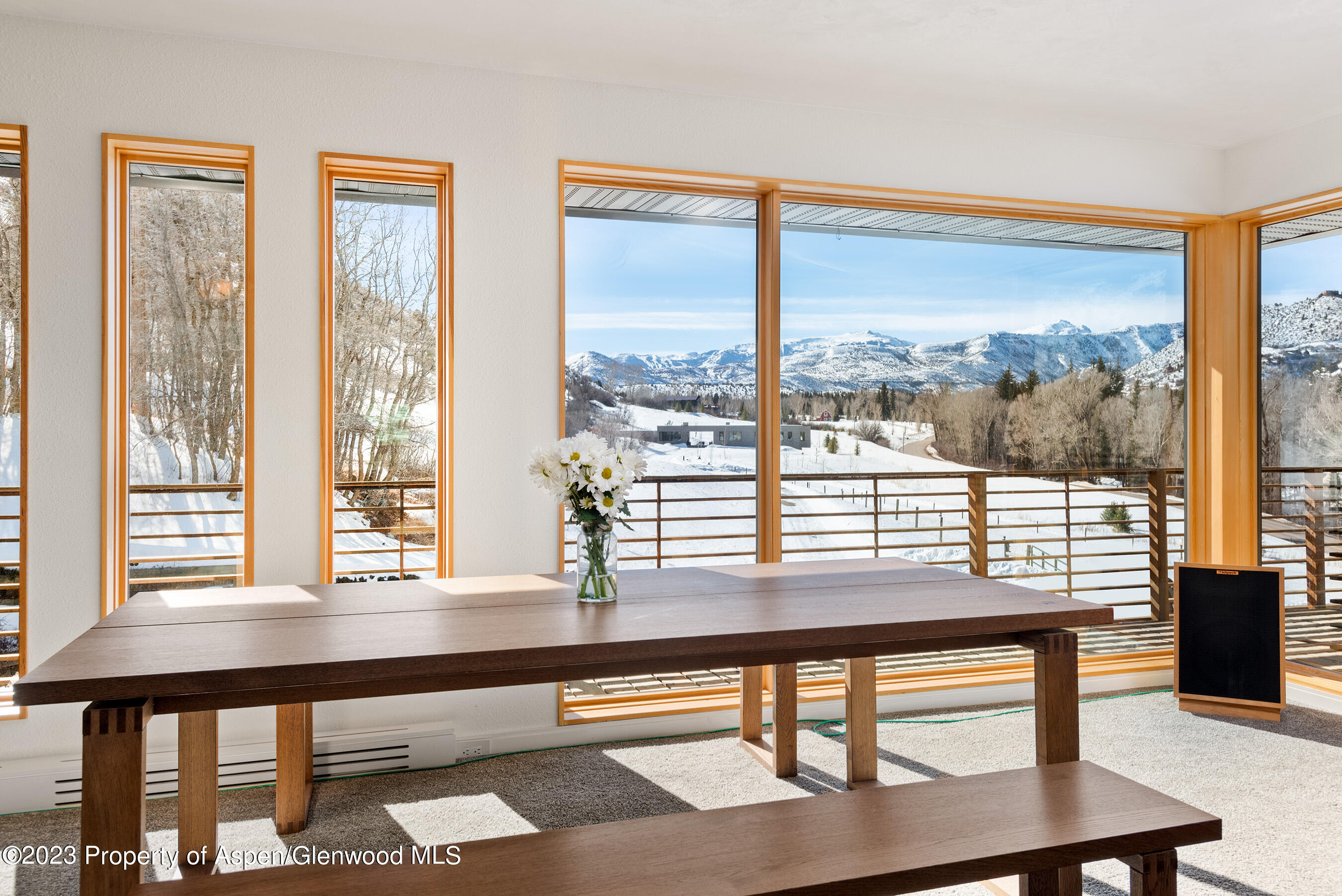 876 Snowmass Creek Road Snowmass CO 81654