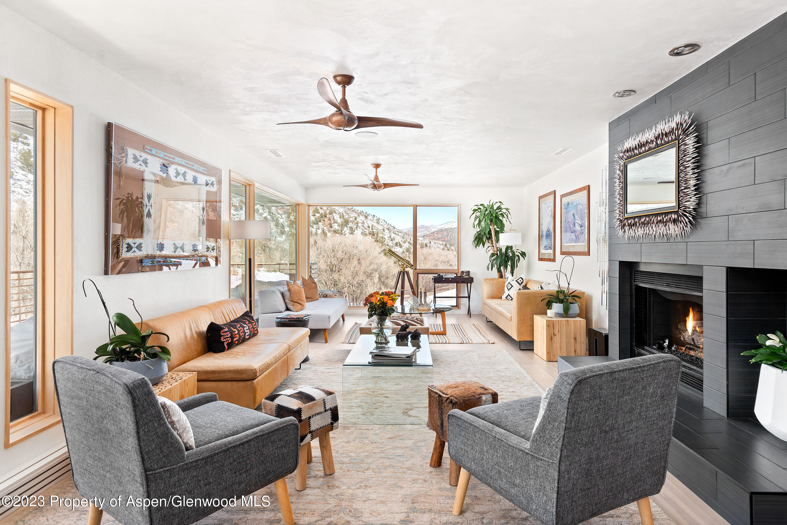 876 Snowmass Creek Road Snowmass CO 81654