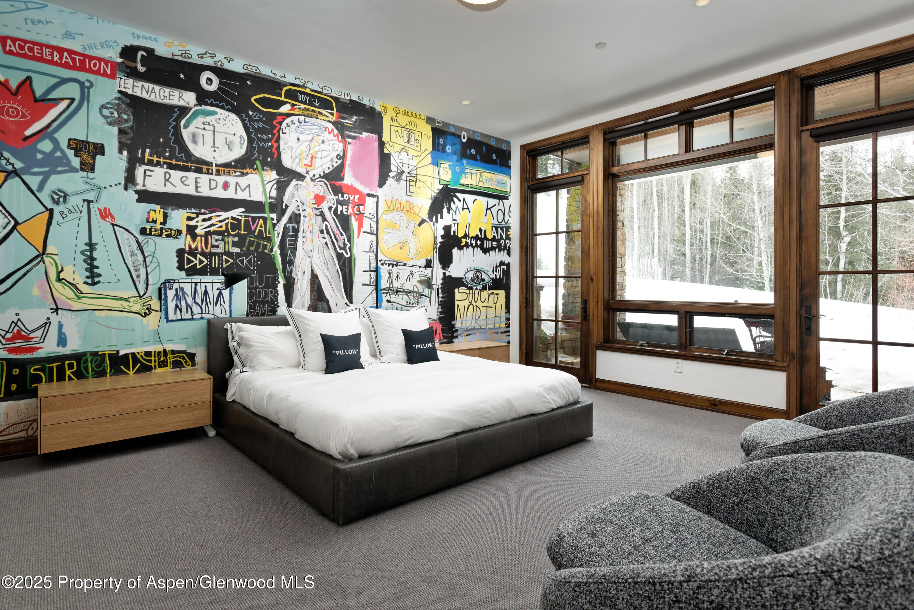 289 Exhibition Lane Aspen CO 81611