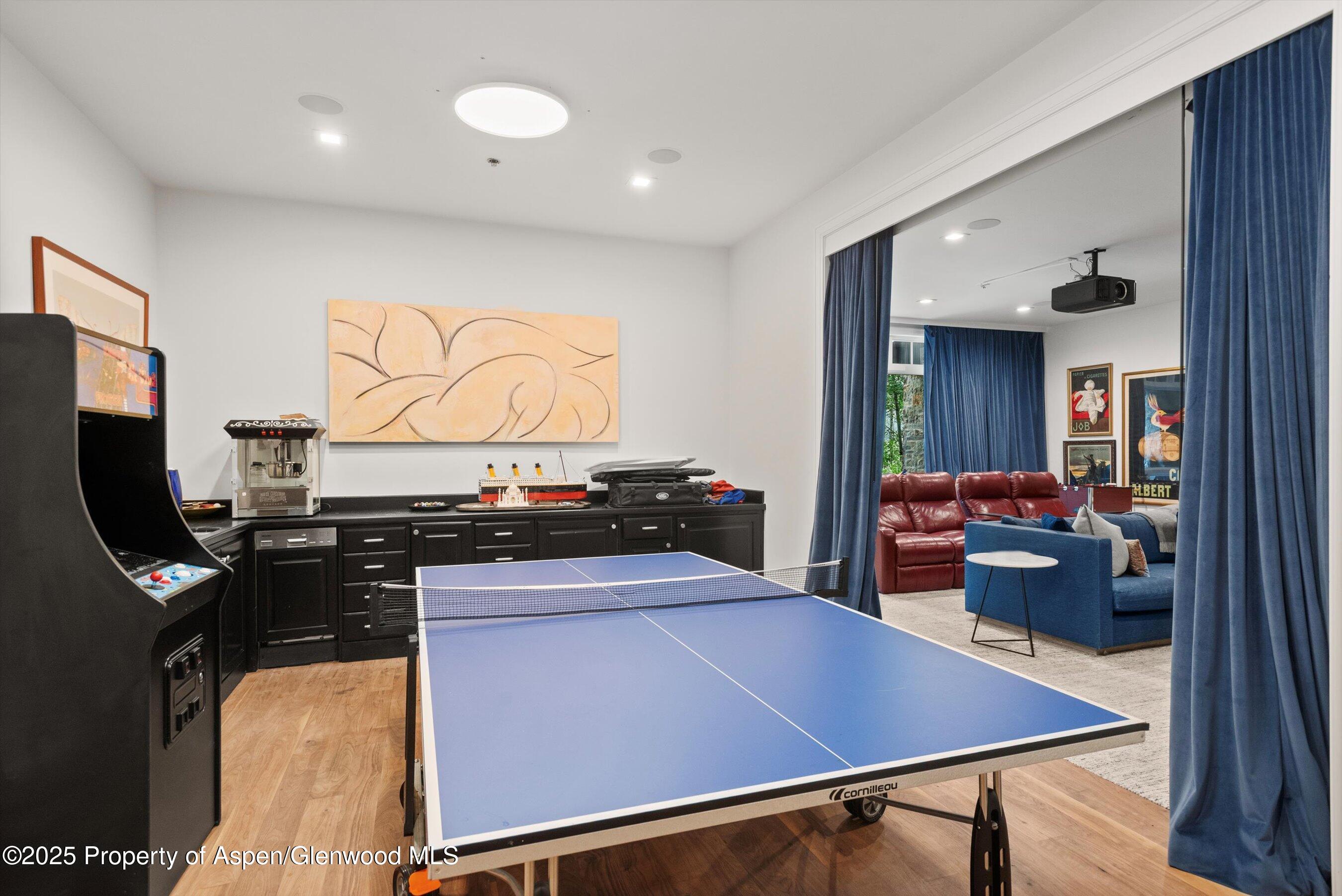 289 Exhibition Lane Aspen CO 81611