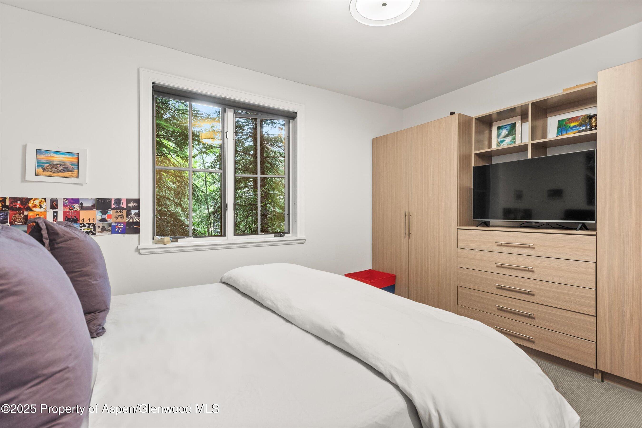 289 Exhibition Lane Aspen CO 81611