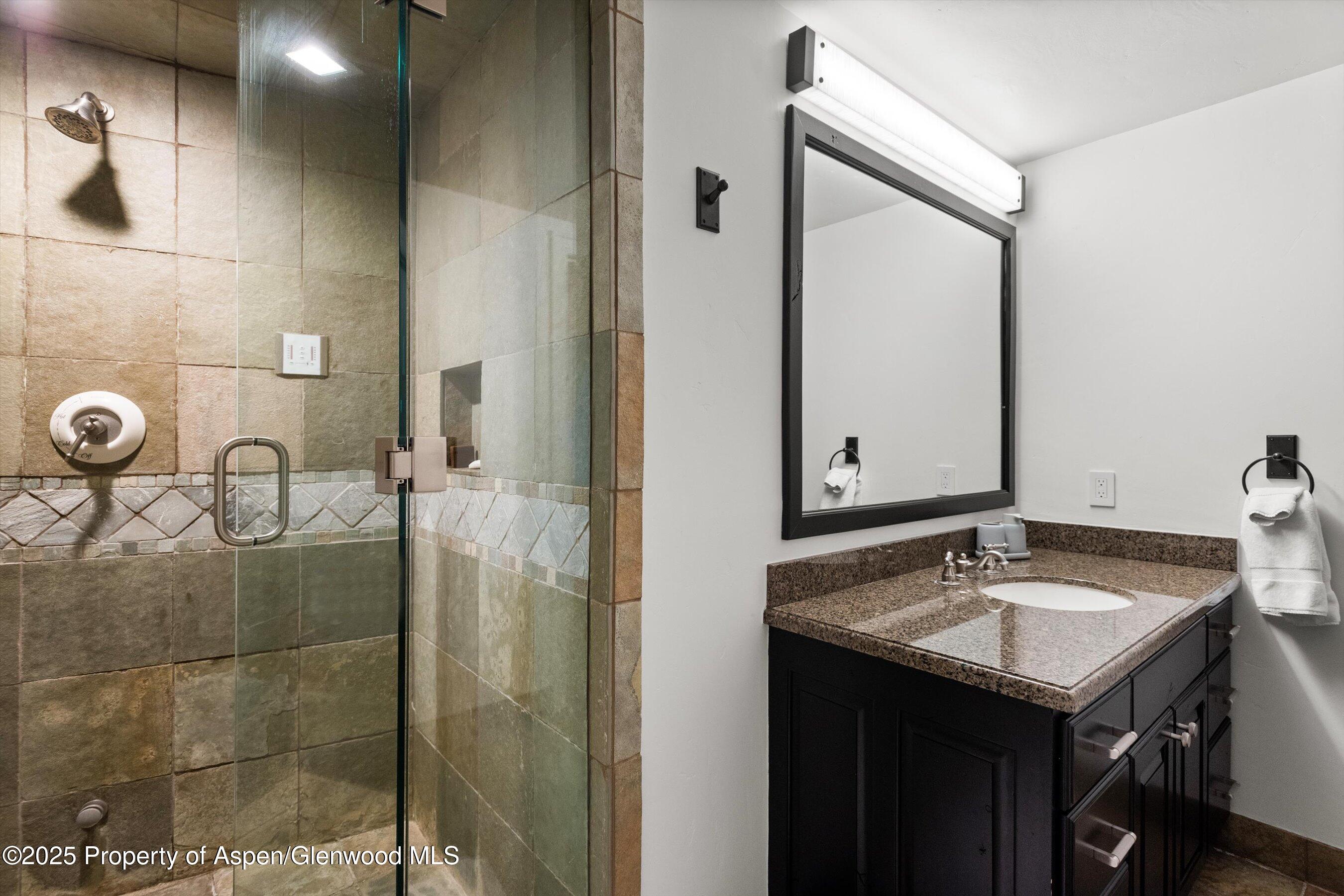 289 Exhibition Lane Aspen CO 81611