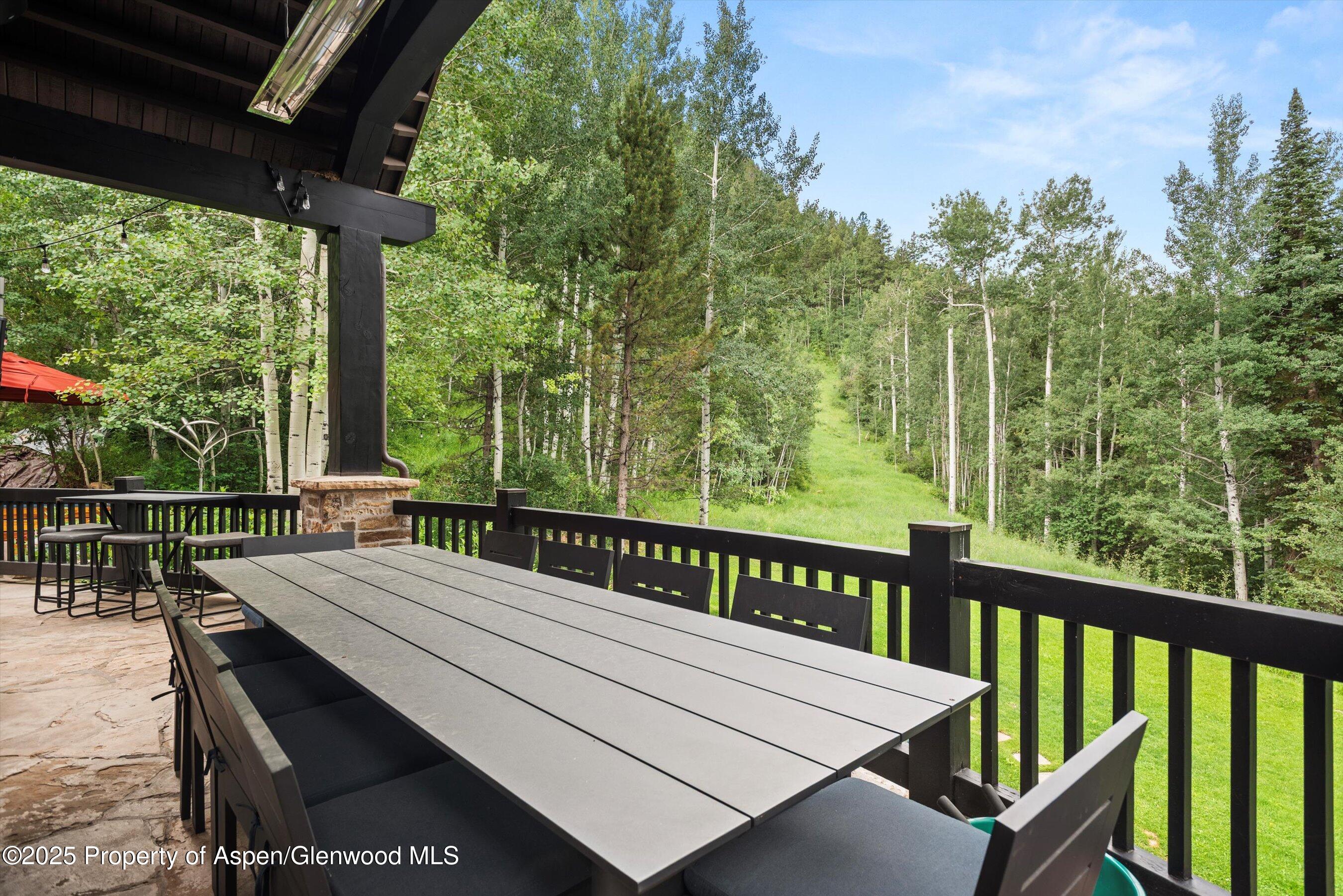 289 Exhibition Lane Aspen CO 81611