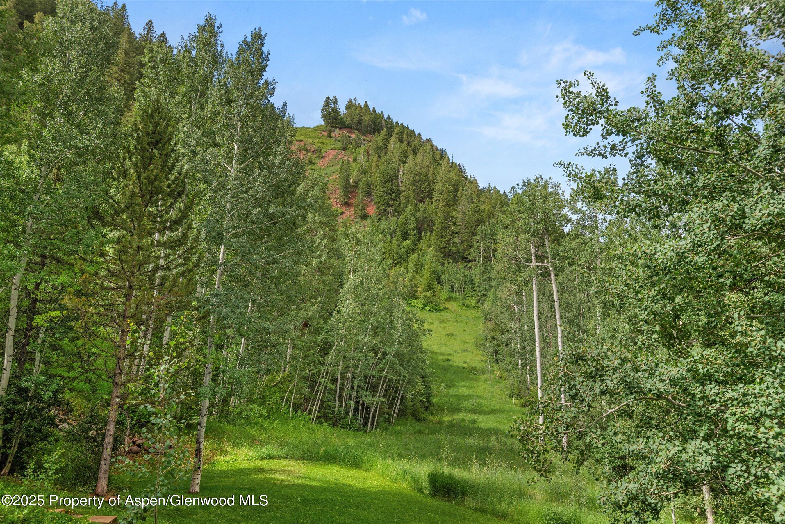 289 Exhibition Lane Aspen CO 81611