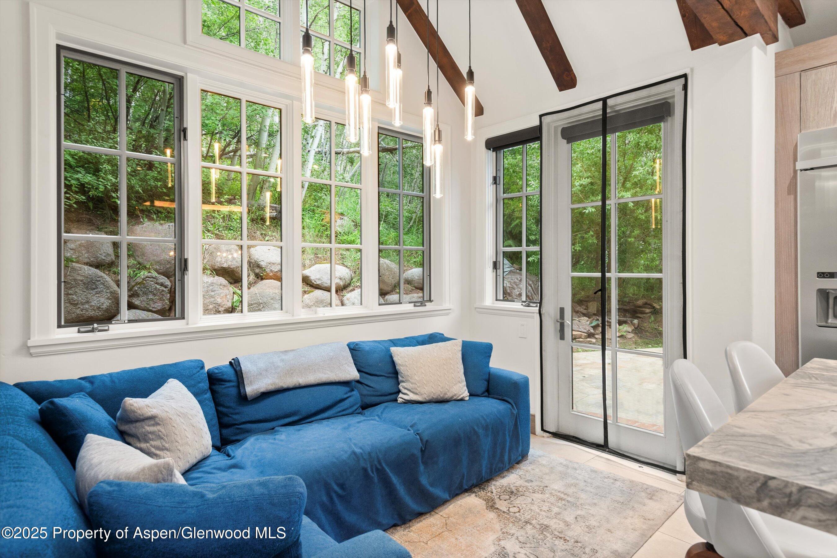 289 Exhibition Lane Aspen CO 81611