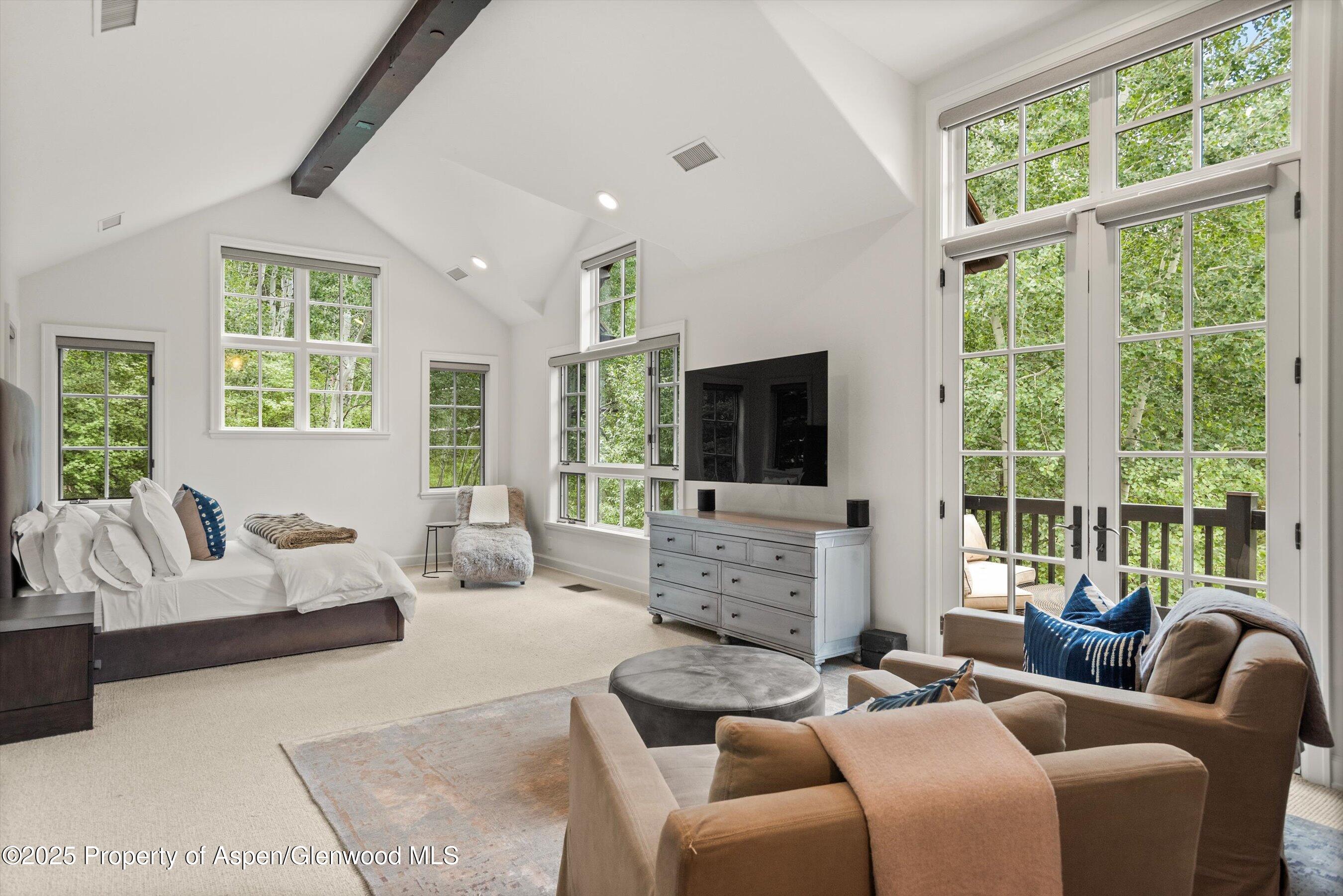 289 Exhibition Lane Aspen CO 81611