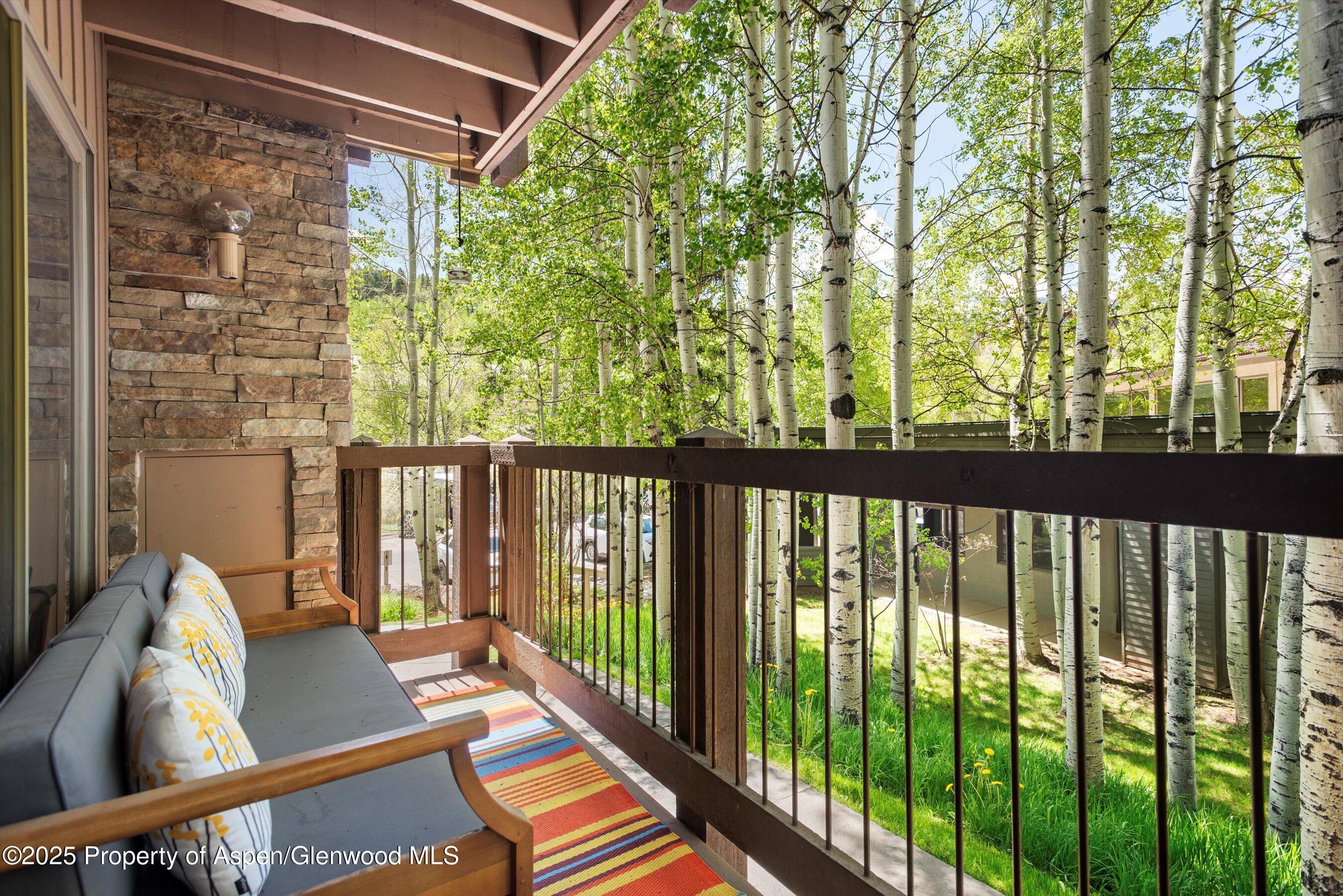 35 Upper Woodbridge Road Snowmass Village CO 81615