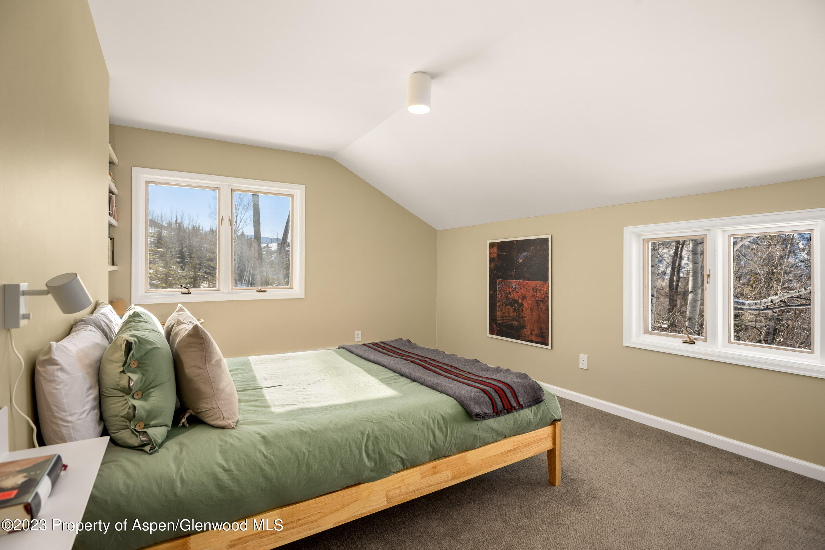 1036 Red Mountain Road Aspen CO 81611