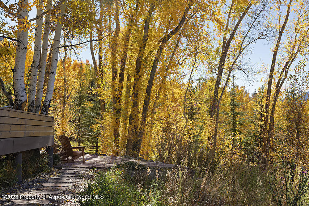1036 Red Mountain Road Aspen CO 81611