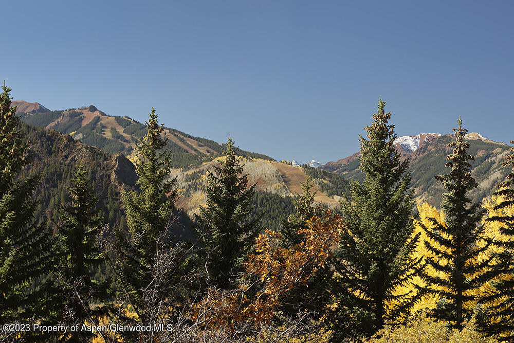 1036 Red Mountain Road Aspen CO 81611