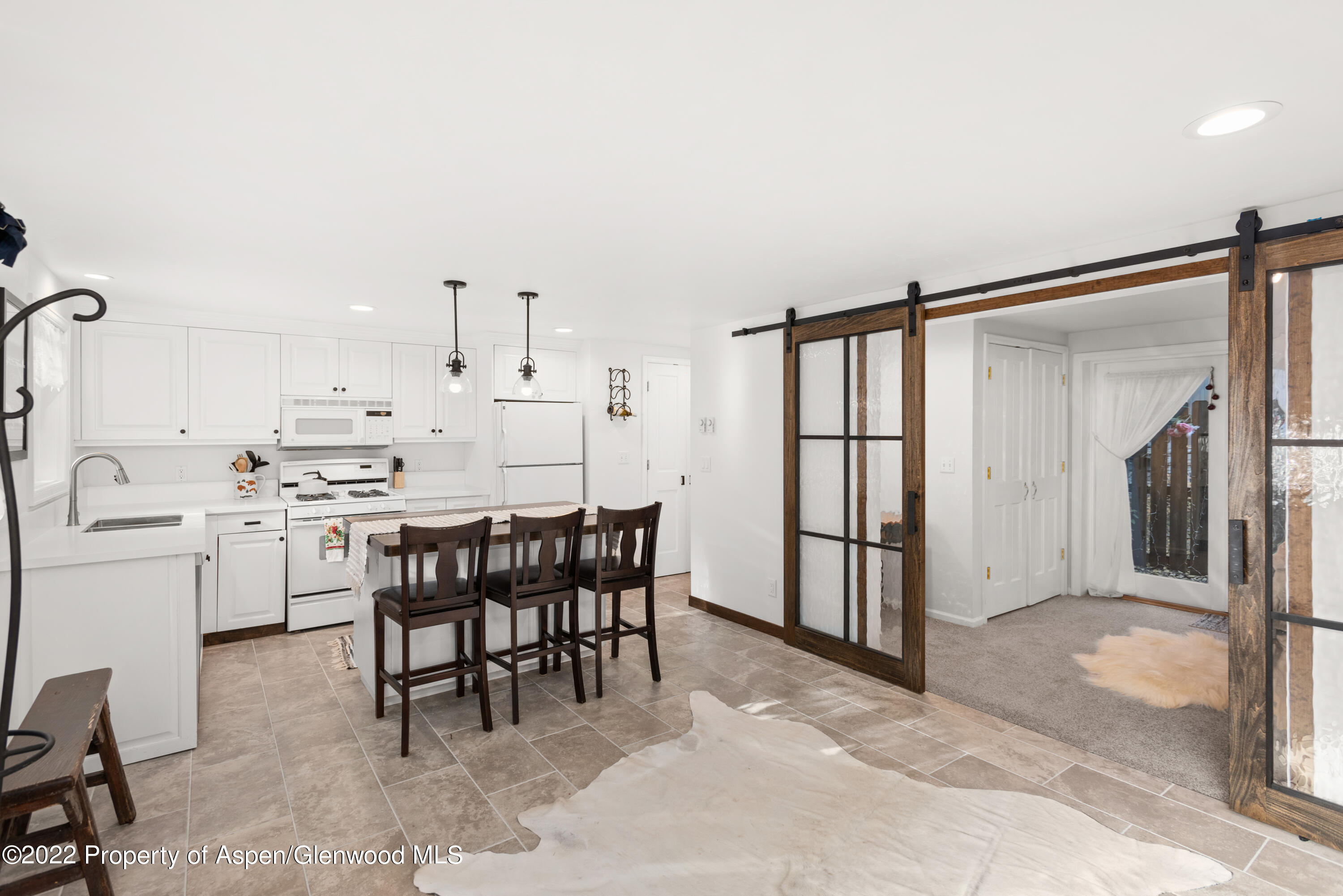 950 E Durant Avenue Aspen CO 81611