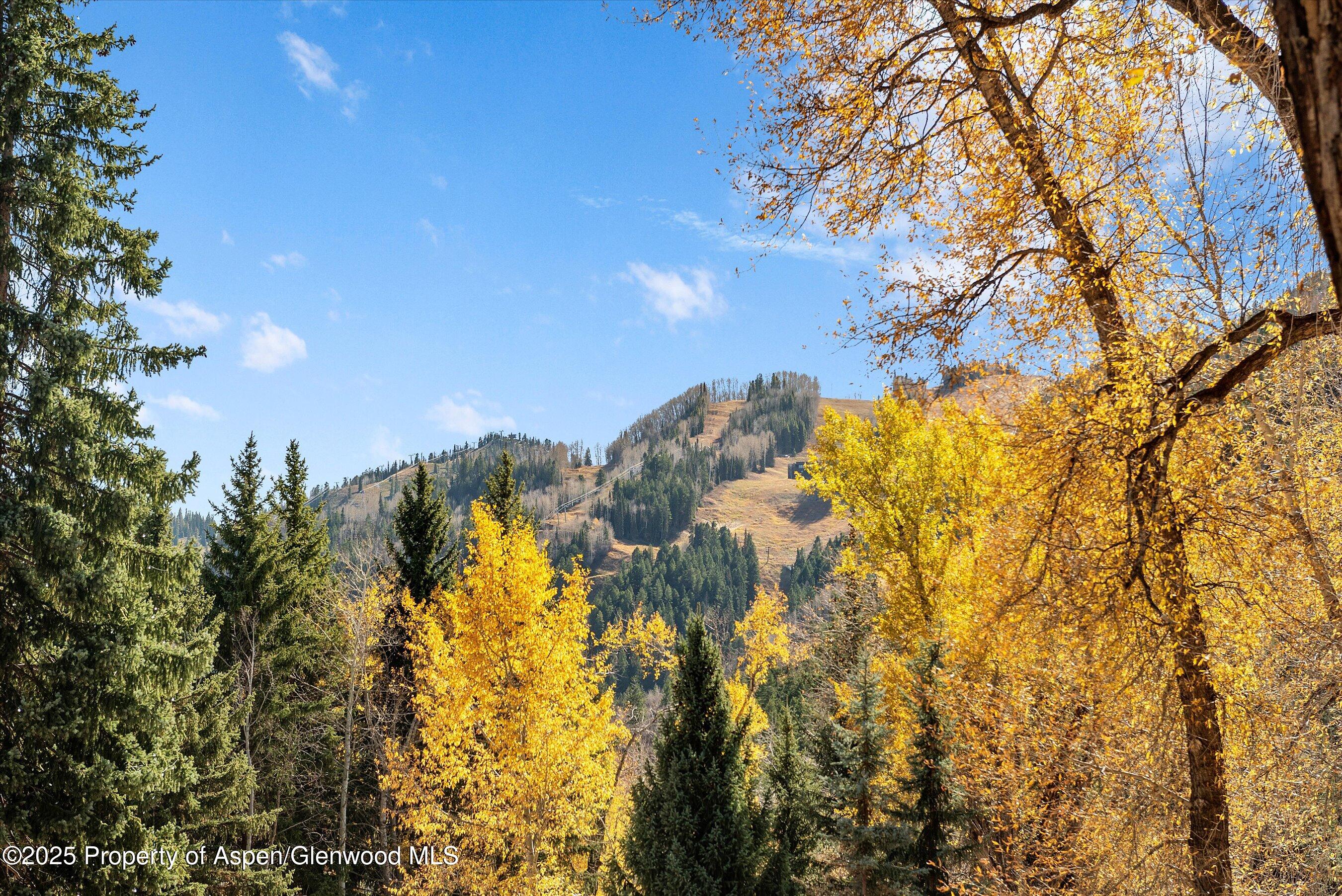 602 W Hallam Street Aspen CO 81611