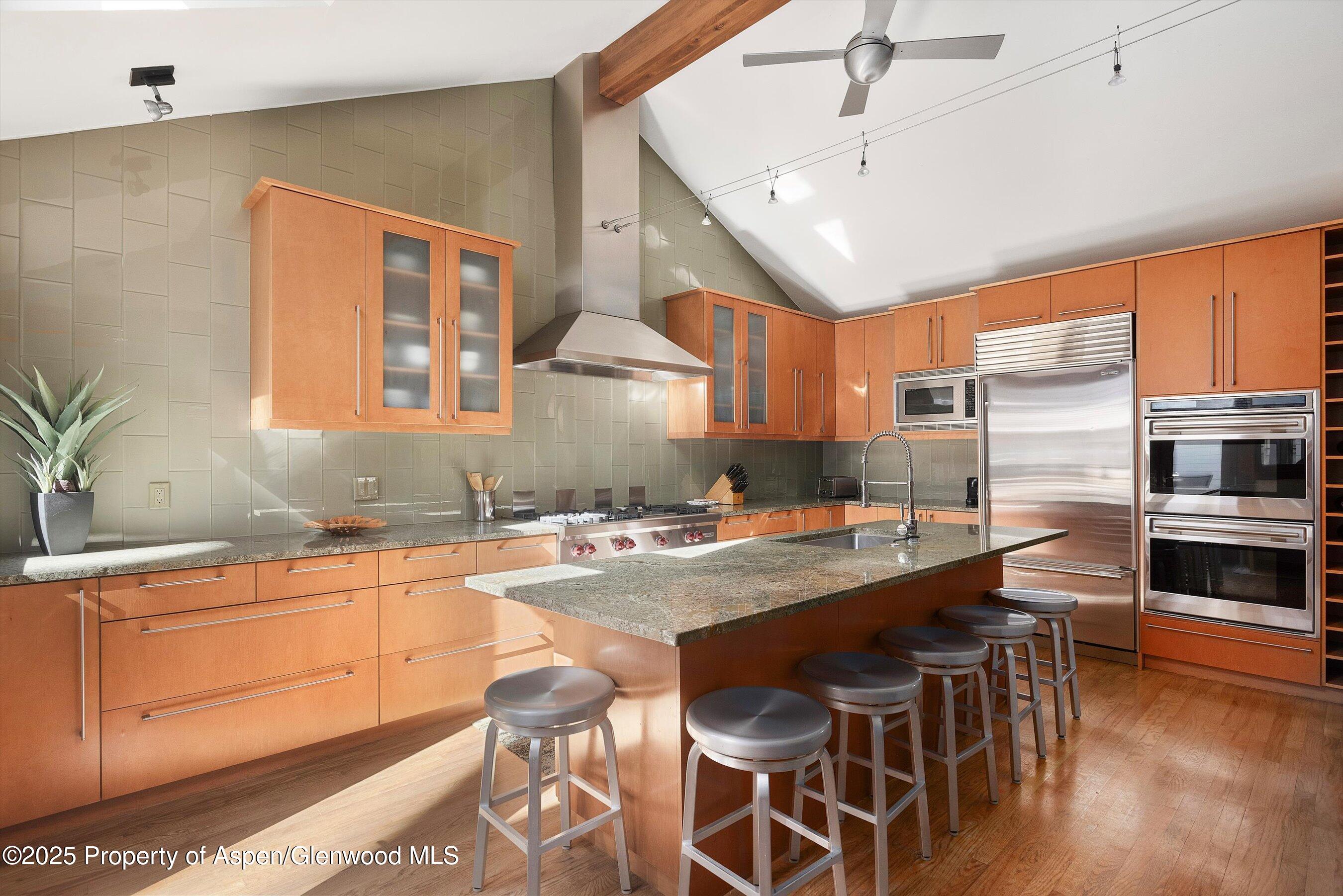 602 W Hallam Street Aspen CO 81611