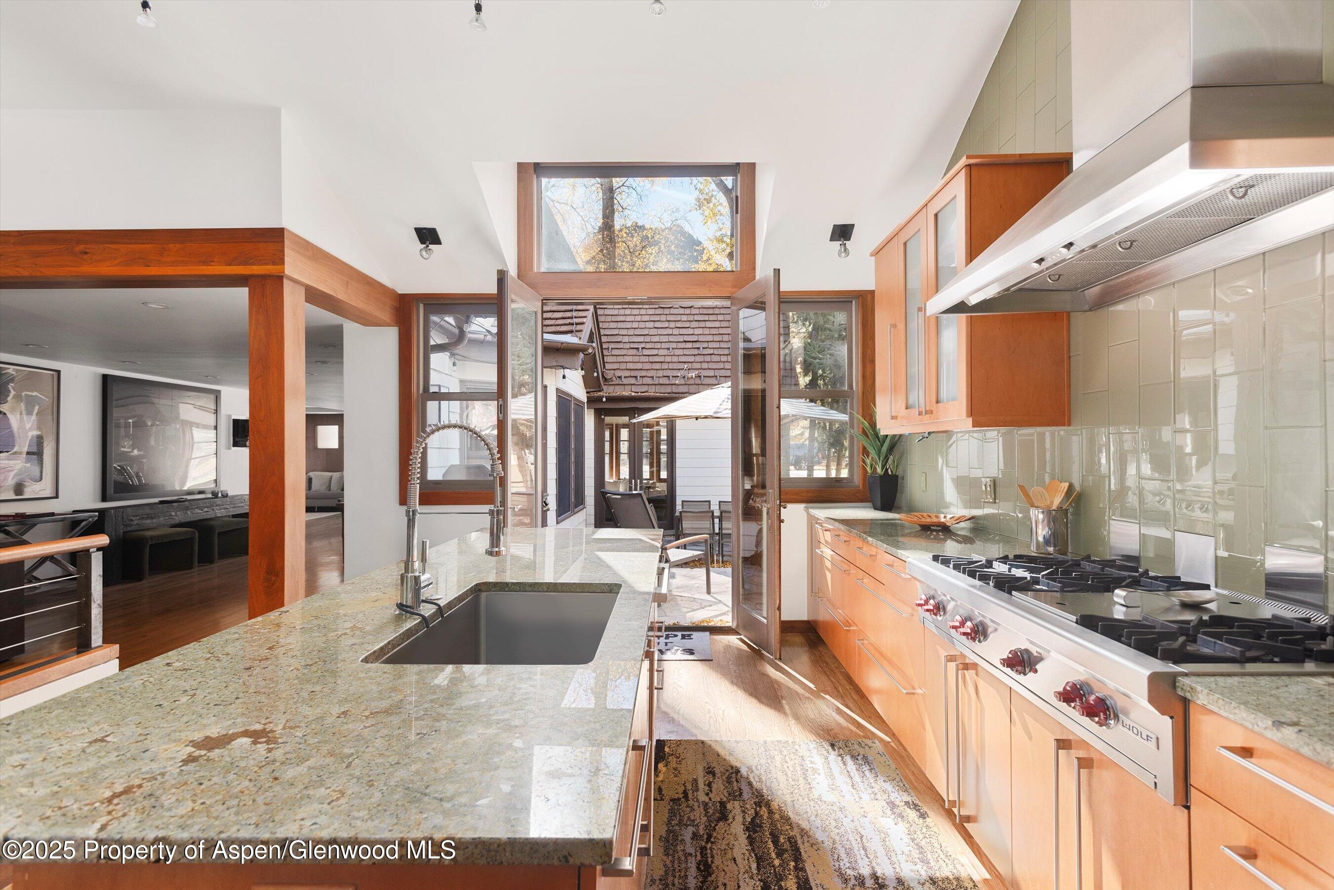 602 W Hallam Street Aspen CO 81611