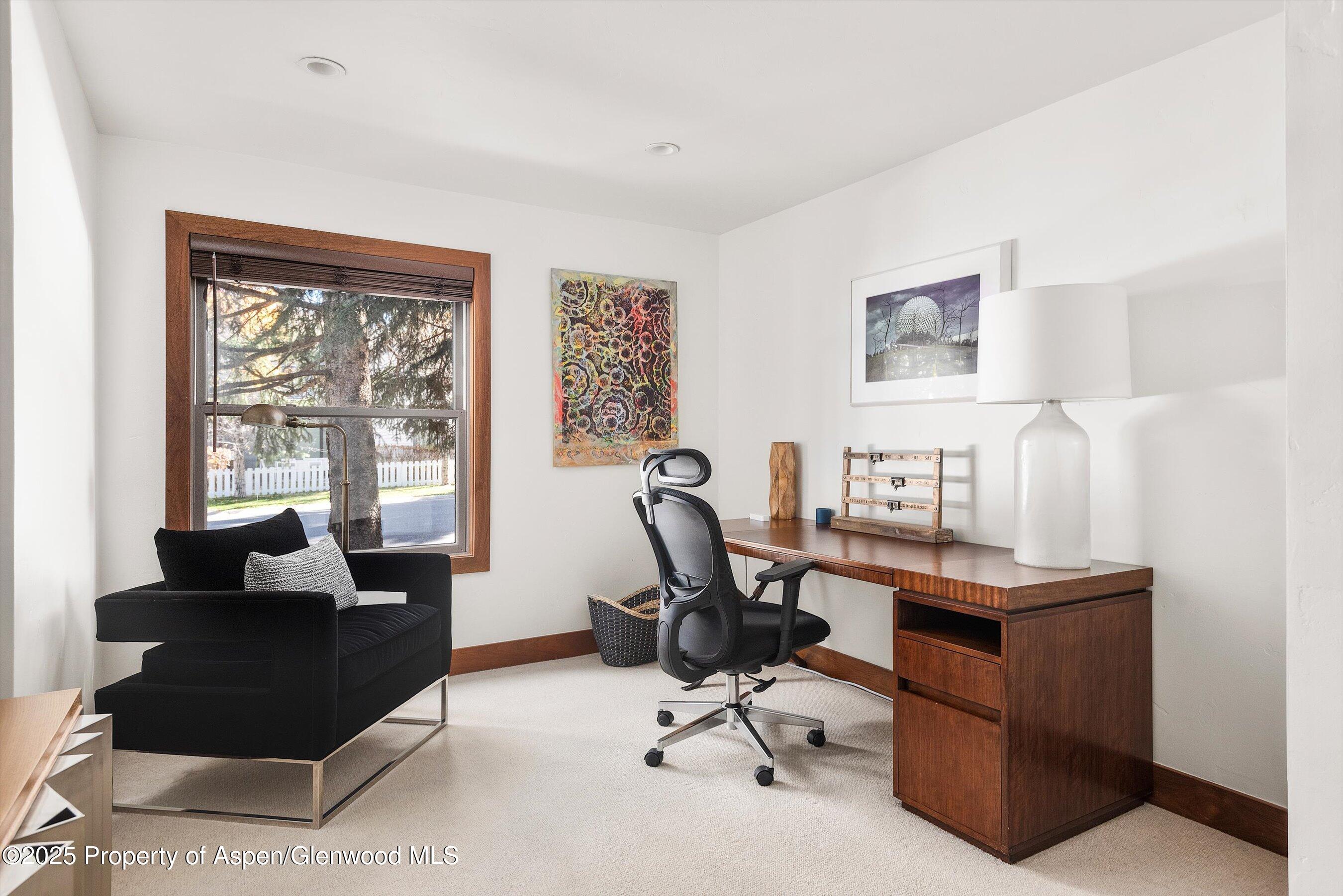 602 W Hallam Street Aspen CO 81611